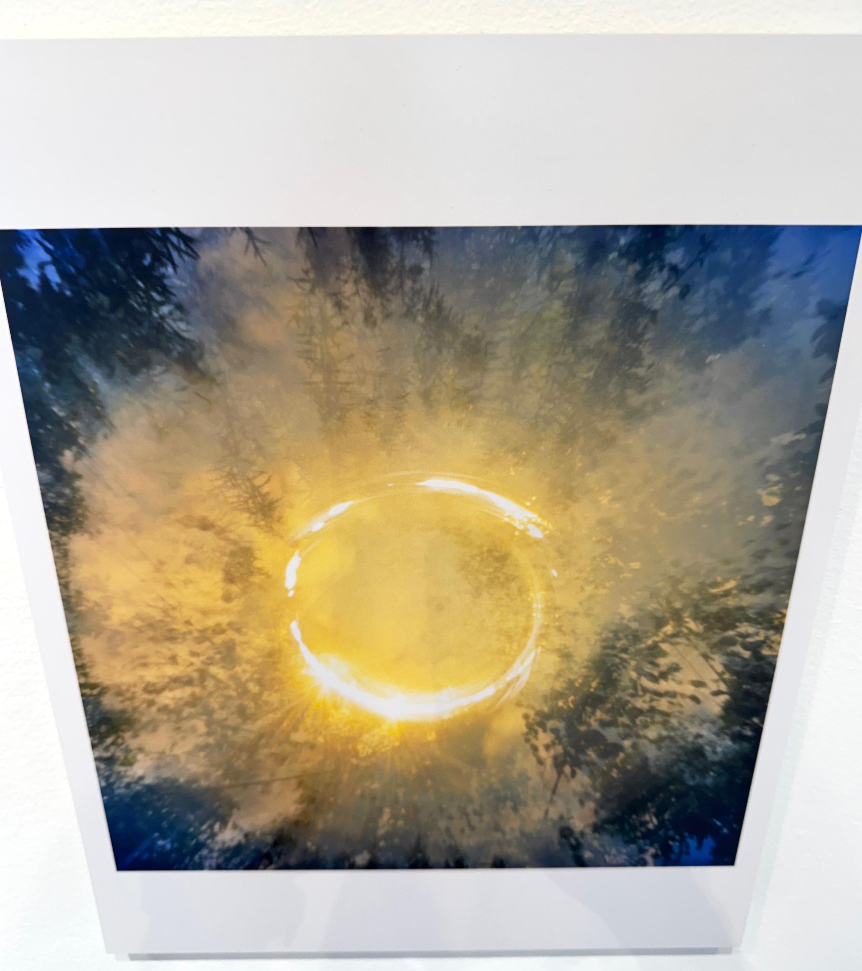 Farbfotografie der Sonne, Bäume, Natur, Landschaft, 2025 im Angebot 1