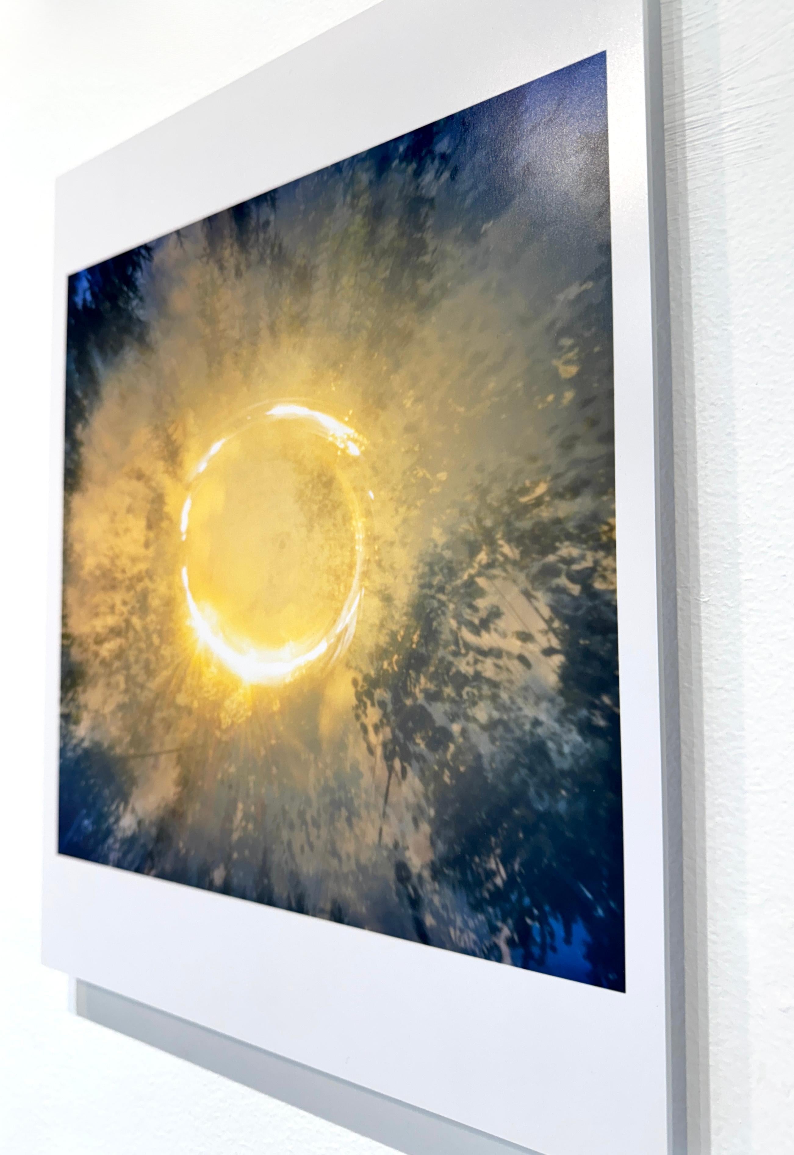 Farbfotografie der Sonne, Bäume, Natur, Landschaft, 2025 im Angebot 2