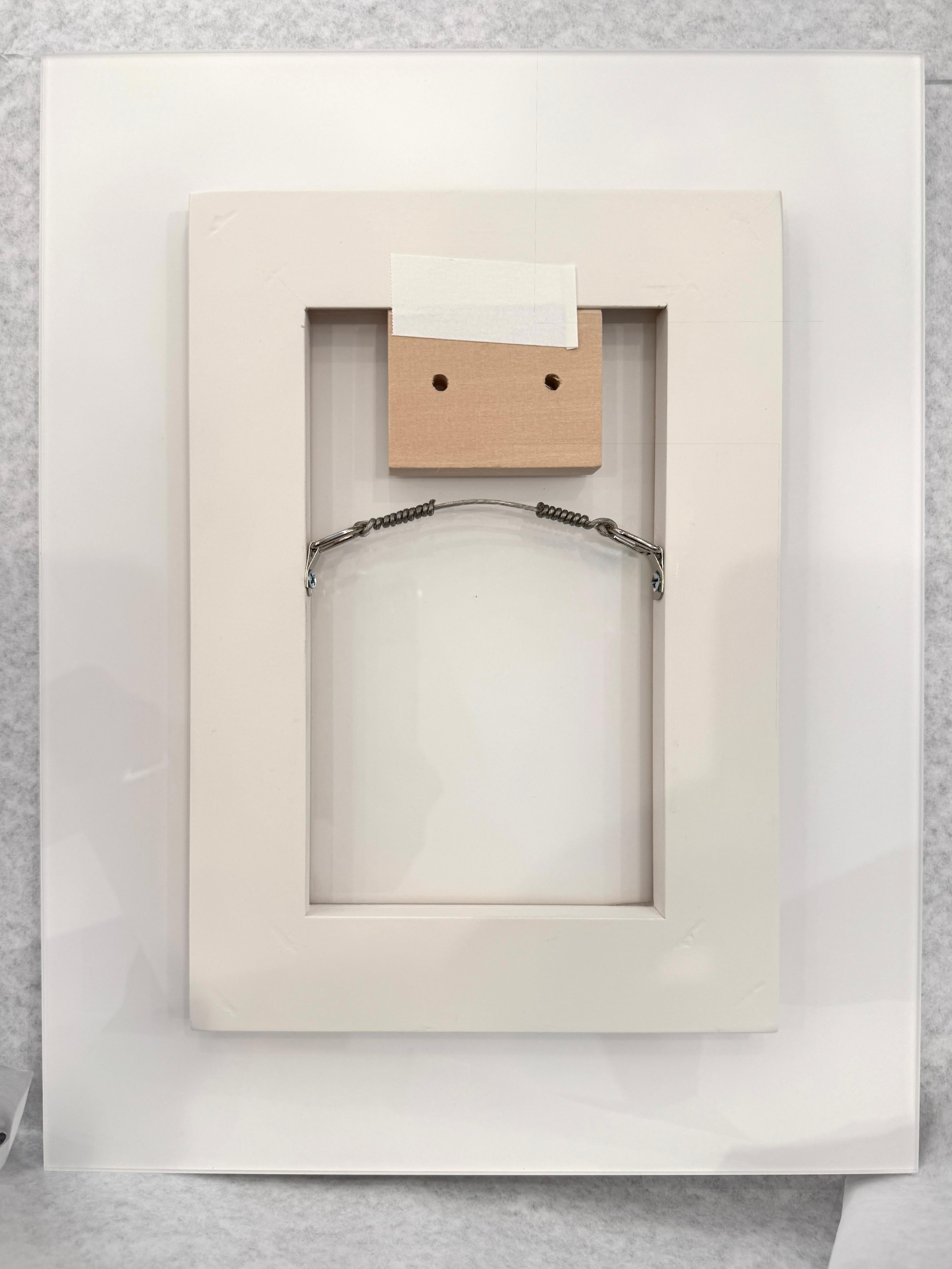 Farbfotografie der Sonne, Bäume, Natur, Landschaft, 2025 im Angebot 4