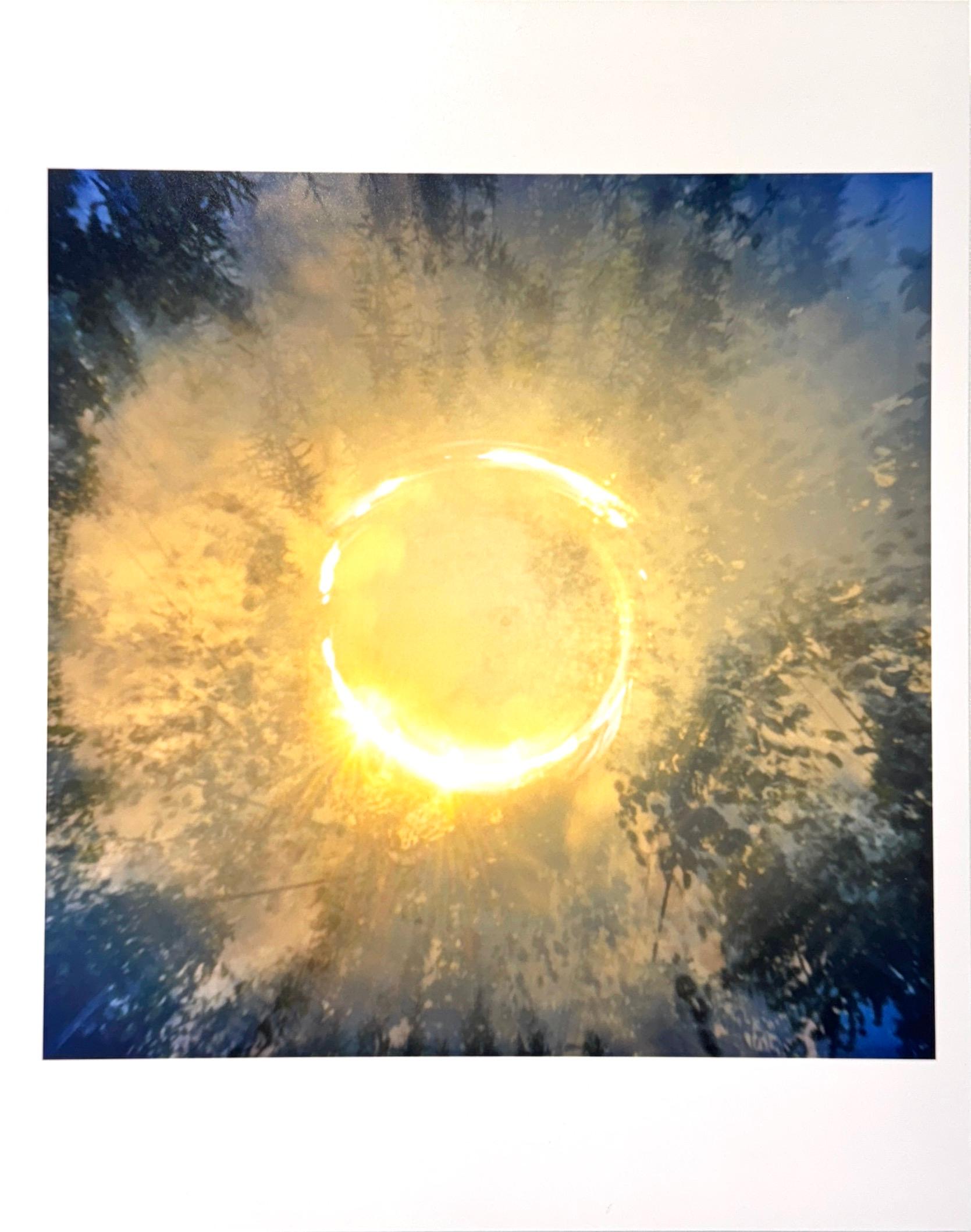 Color Photograph of the Sun, Trees, Nature, Landscape, 2025