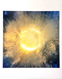 Color Photograph of the Sun, Trees, Nature, Landscape, 2025