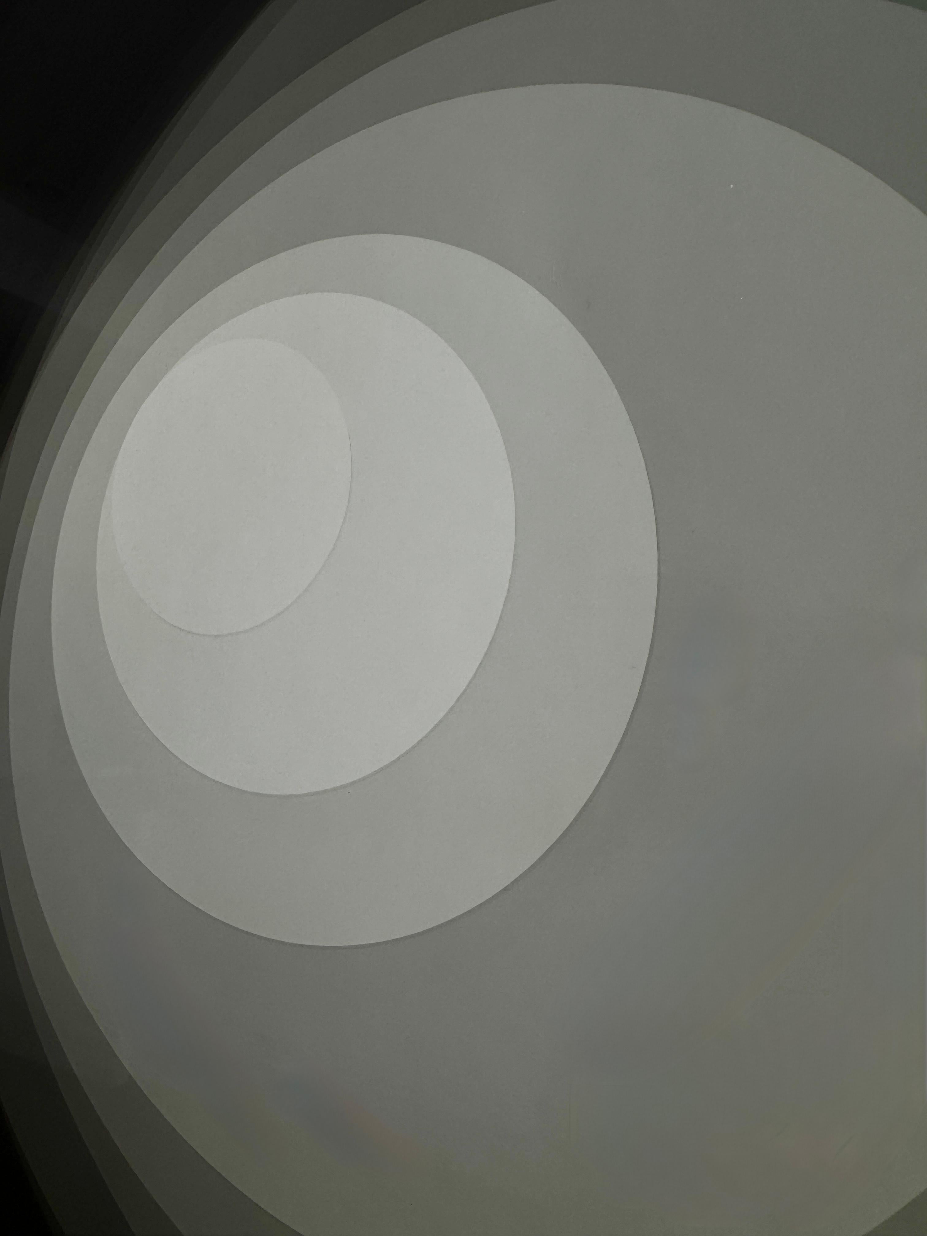 Large Black and White Abstract Photo, Circles, Geometric, Framed, 2020 For Sale 7