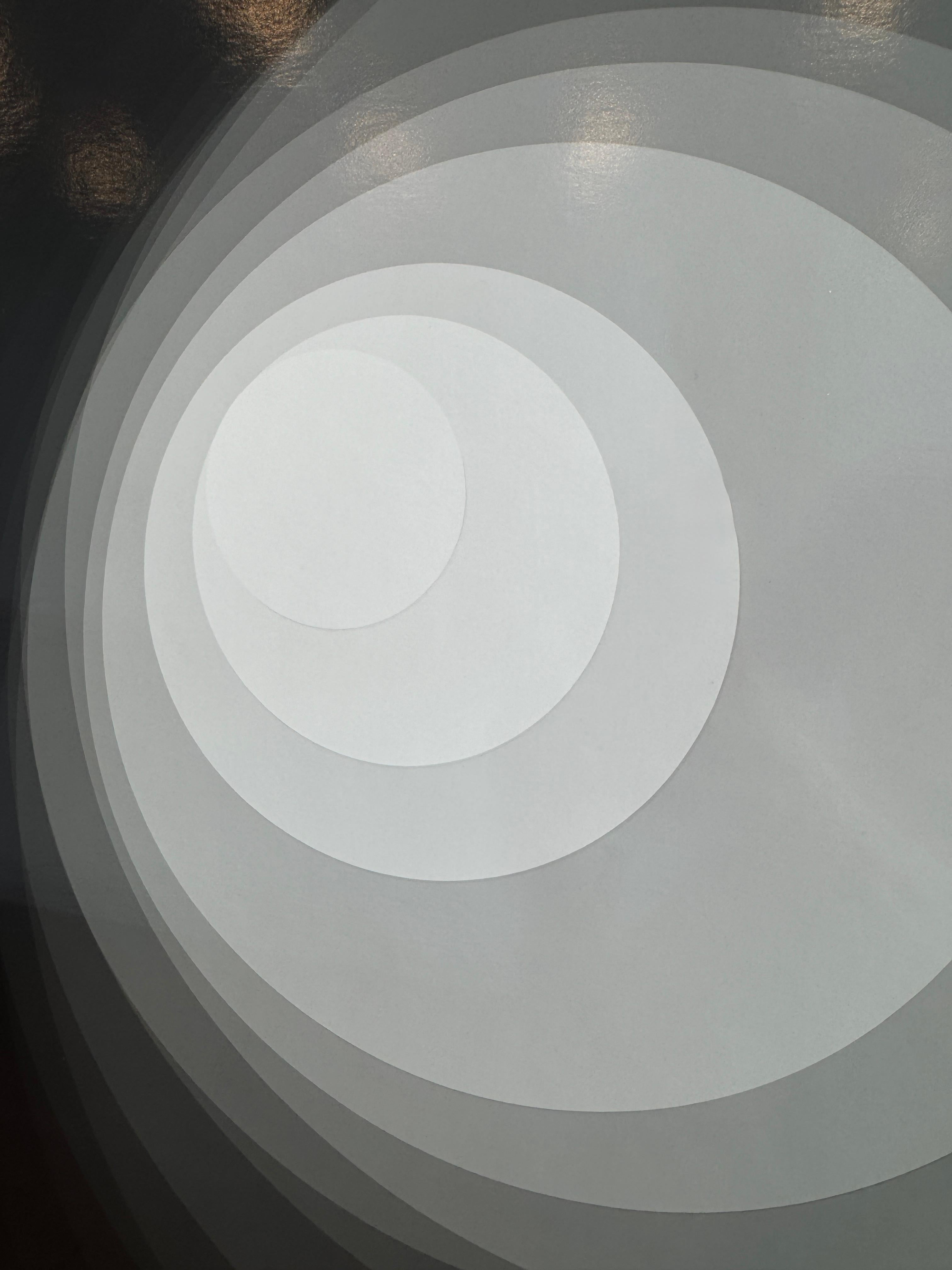 Large Black and White Abstract Photo, Circles, Geometric, Framed, 2020 For Sale 10