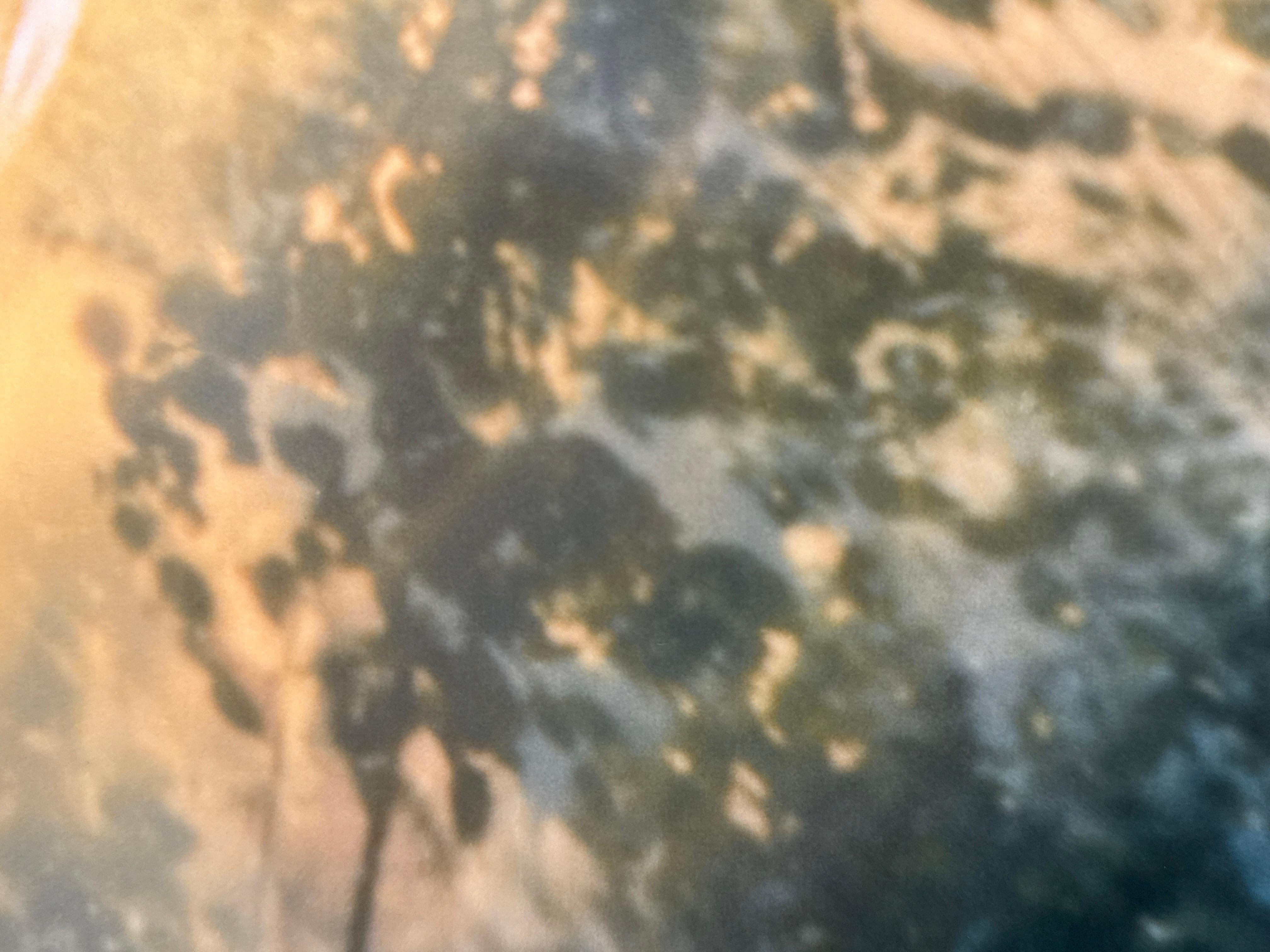 Color Photograph, Celestial, Trees, Nature, Abstract Skyscape, Limited Edition For Sale 2