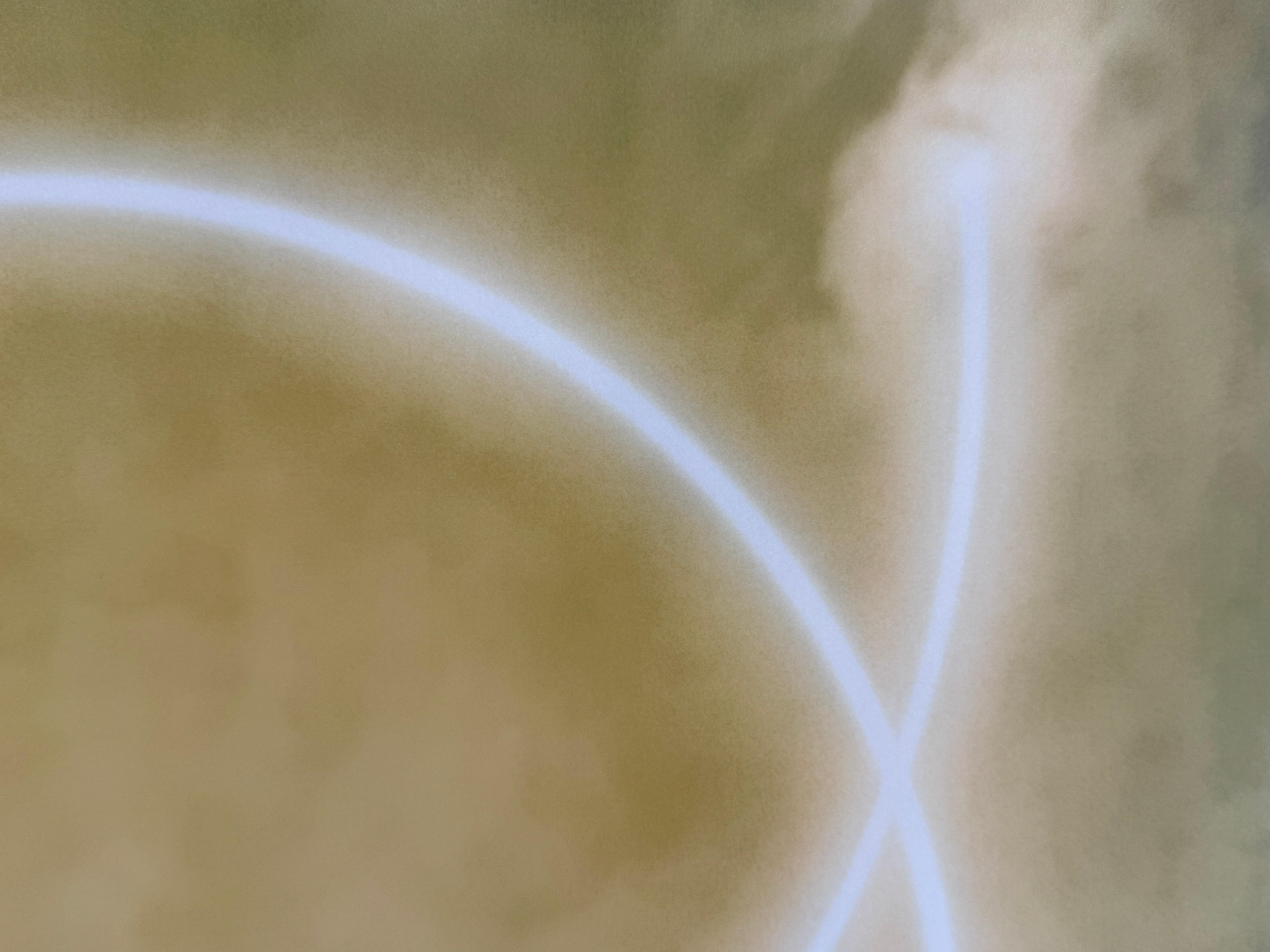 Limited Edition Color Photograph of the Sun, Trees, Nature, Landscape, 2025 For Sale 1