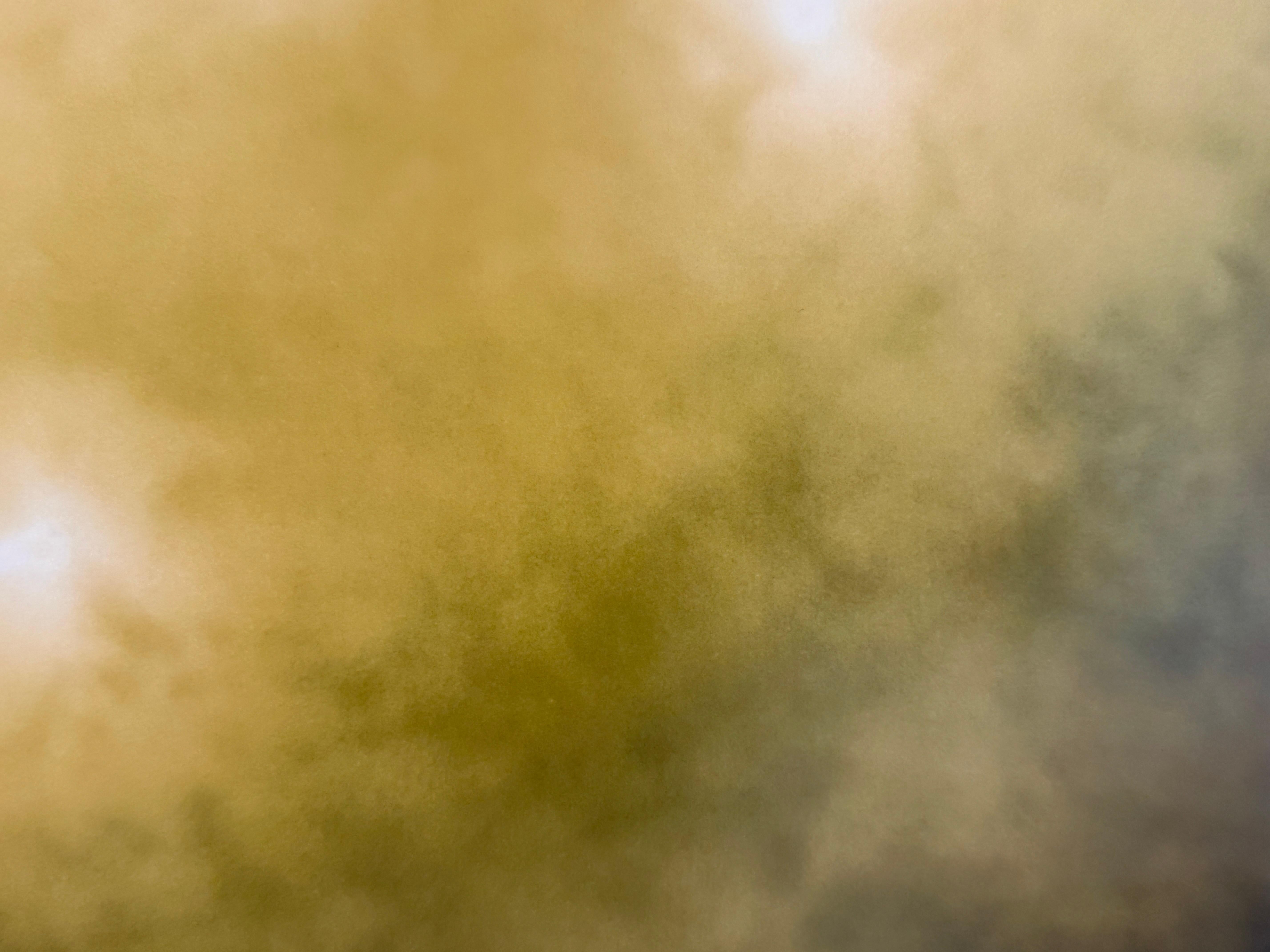 Limited Edition Color Photograph of the Sun, Trees, Nature, Landscape, 2025 For Sale 2