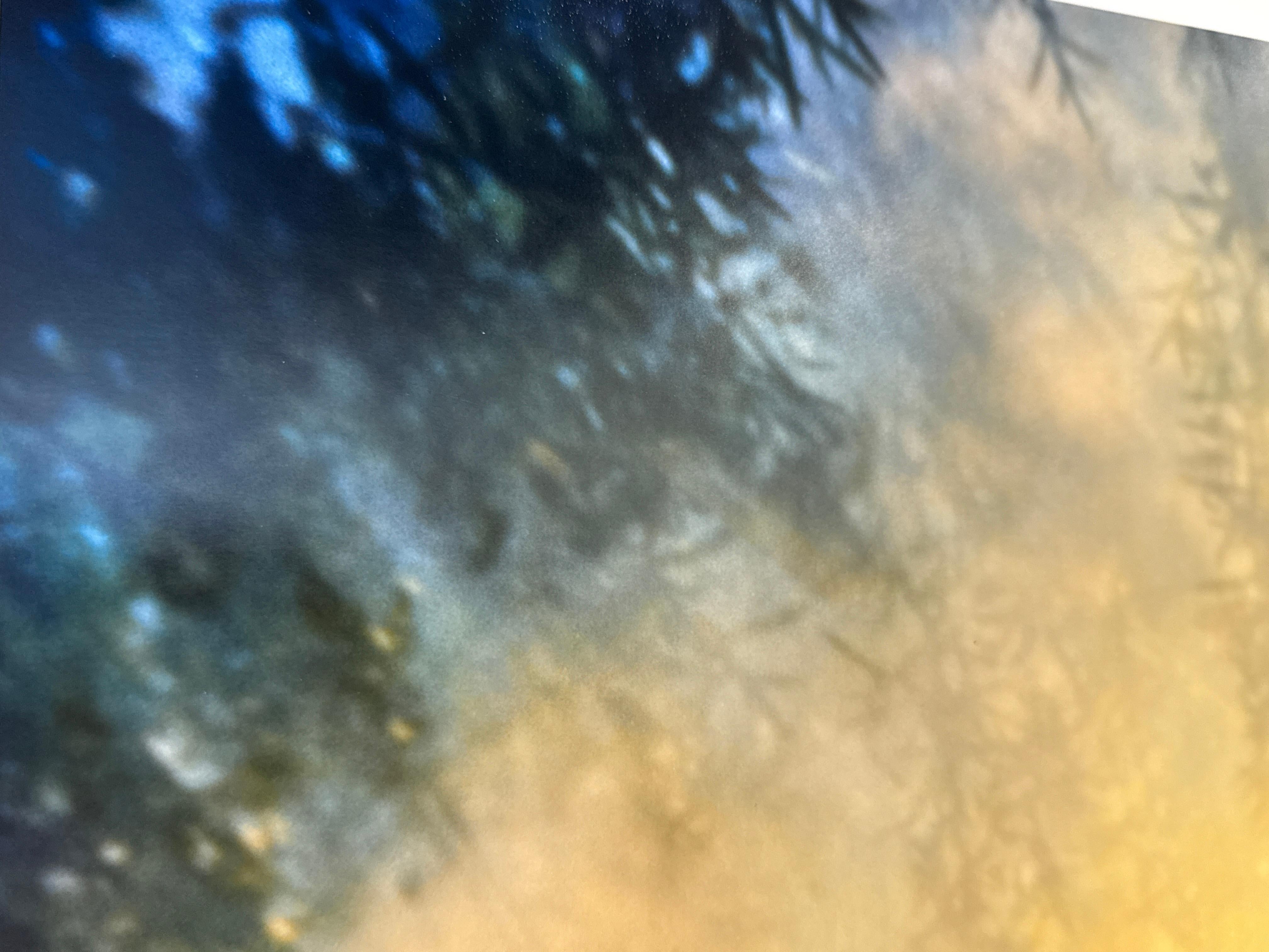 Color Photograph, Celestial, Trees, Nature, Abstract Skyscape, Limited Edition For Sale 4