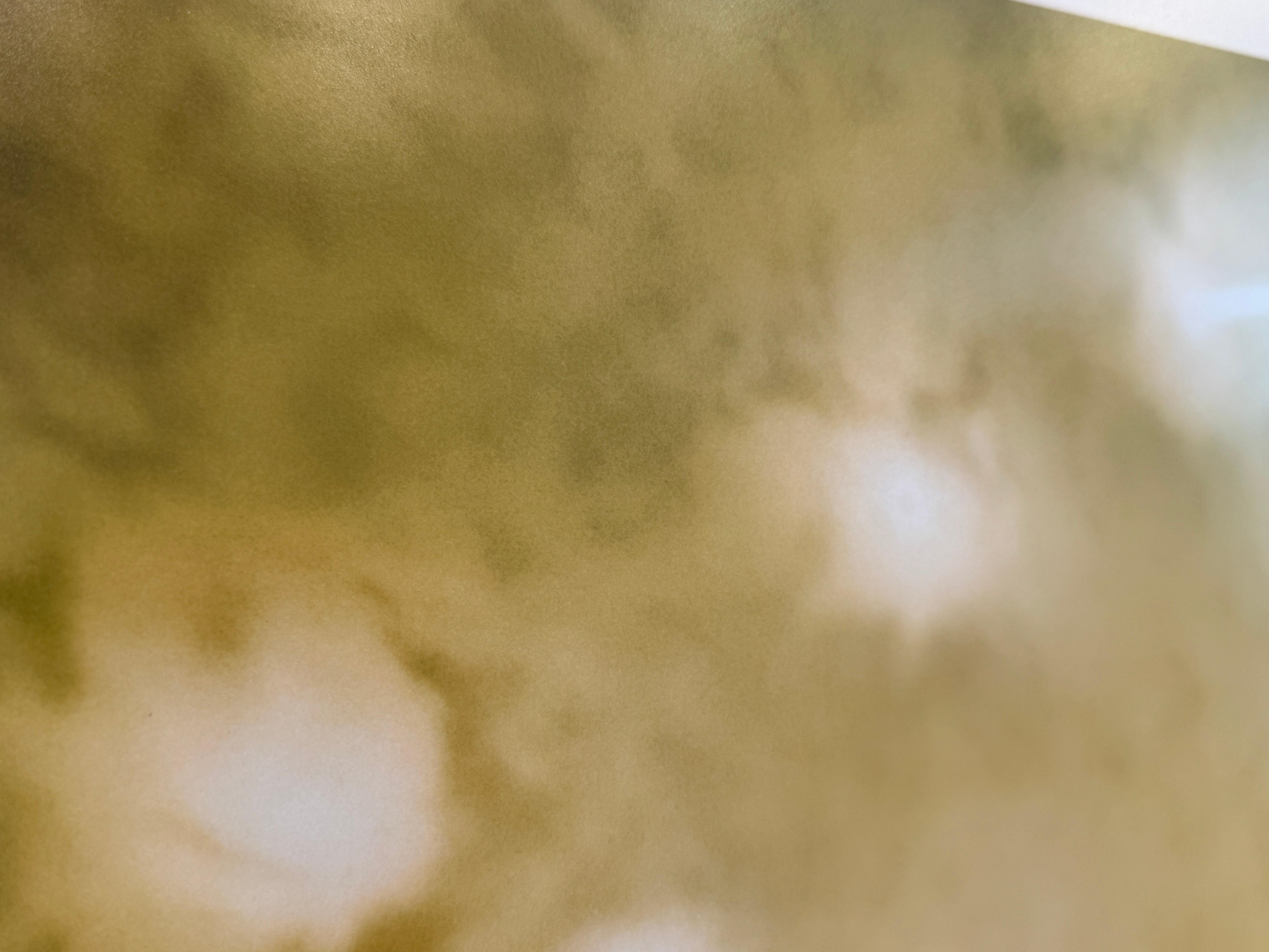 Limited Edition Color Photograph of the Sun, Trees, Nature, Landscape, 2025 For Sale 3