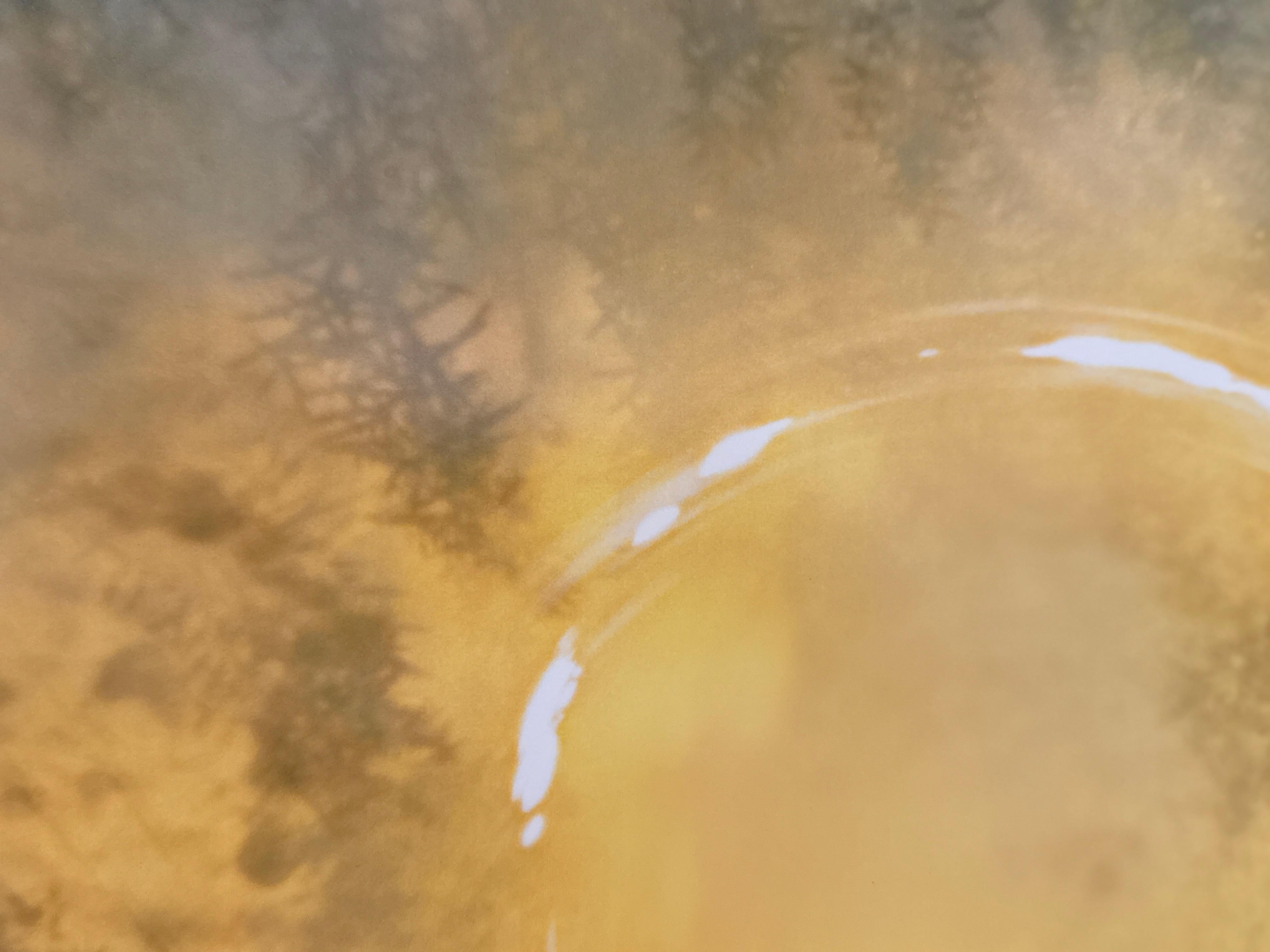 Color Photograph, Celestial, Trees, Nature, Abstract Skyscape, Limited Edition For Sale 5