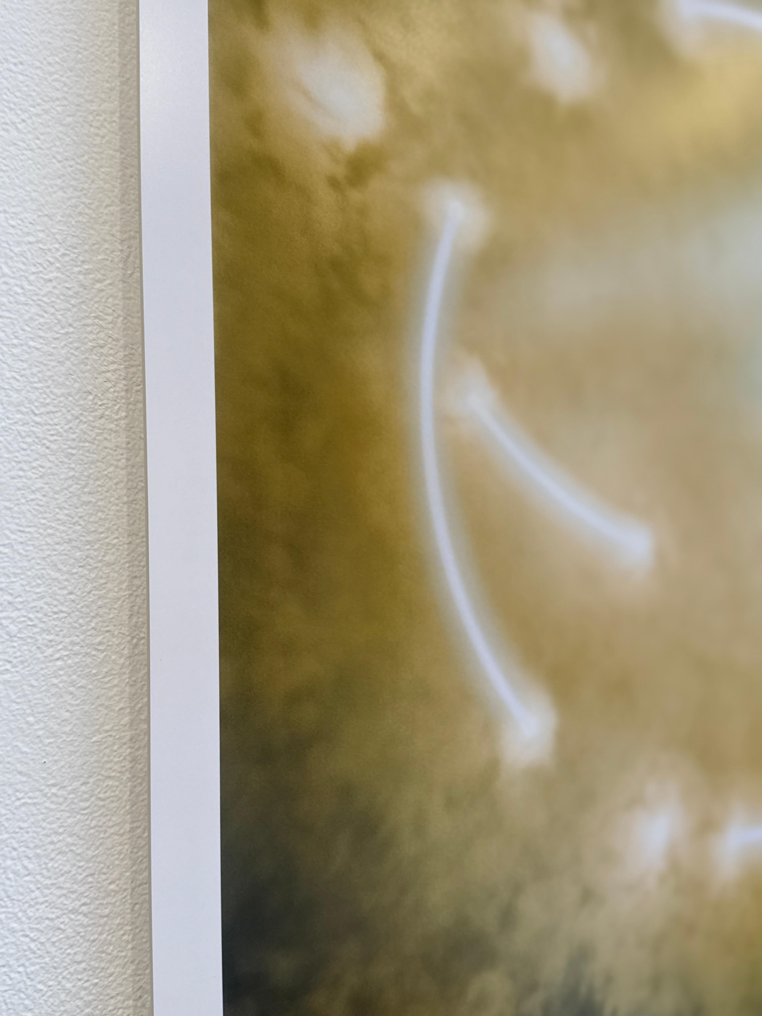 Limited Edition Color Photograph of the Sun, Trees, Nature, Landscape, 2025 For Sale 4