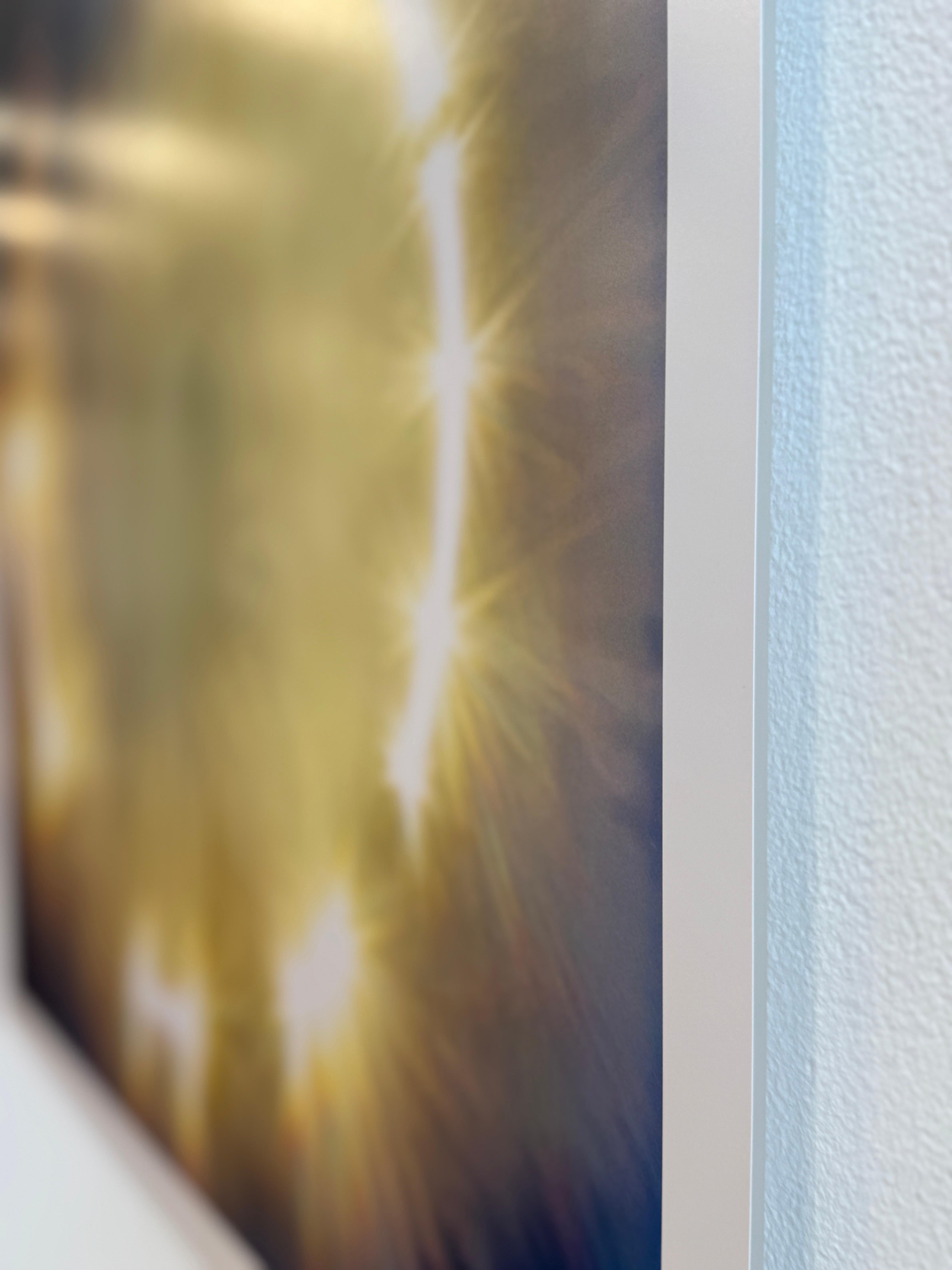 Limited Edition Color Photograph of the Sun, Trees, Nature, Landscape, 2025 For Sale 5