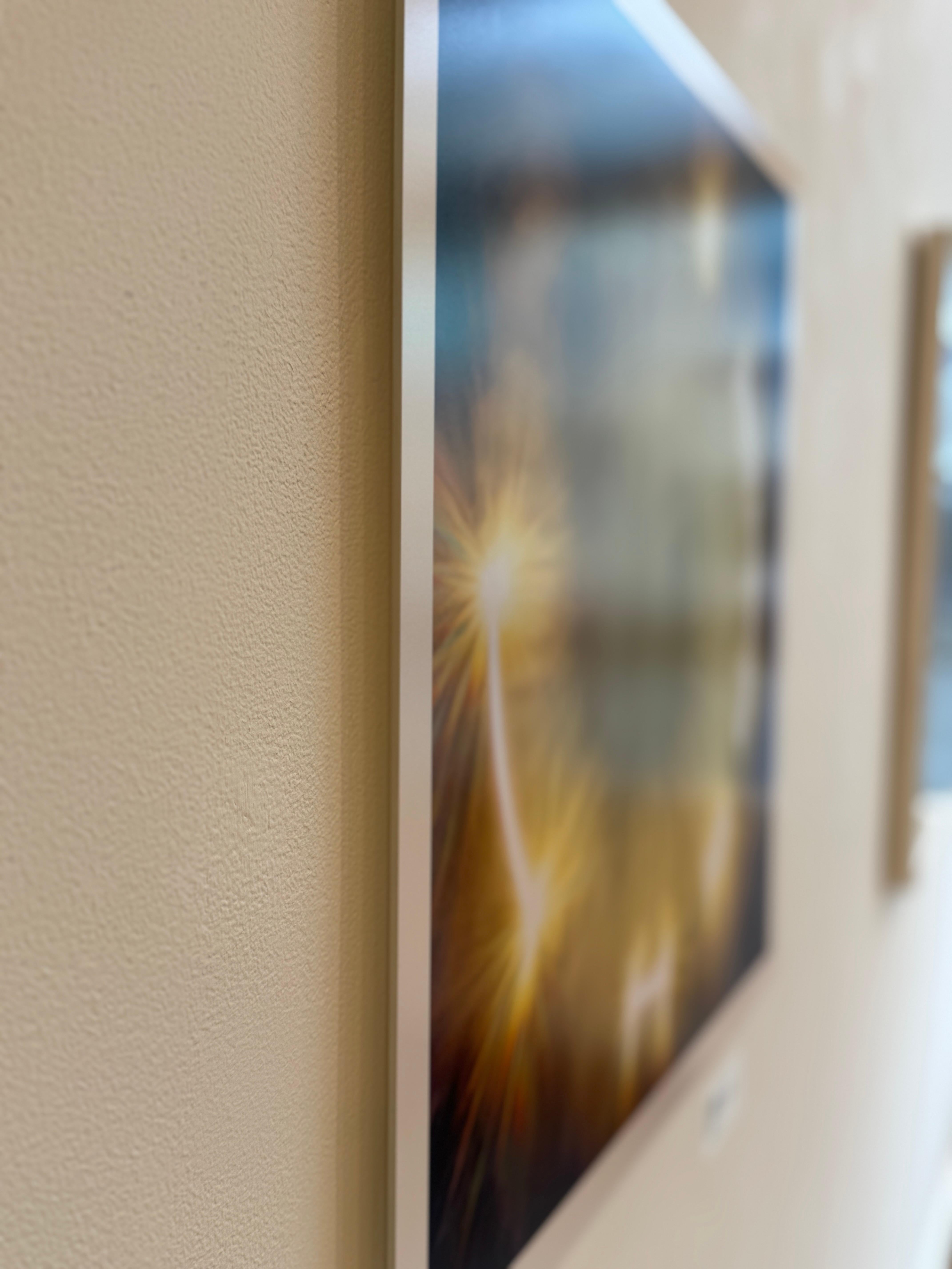 Limited Edition Color Photograph of the Sun, Trees, Nature, Landscape, 2025 For Sale 6