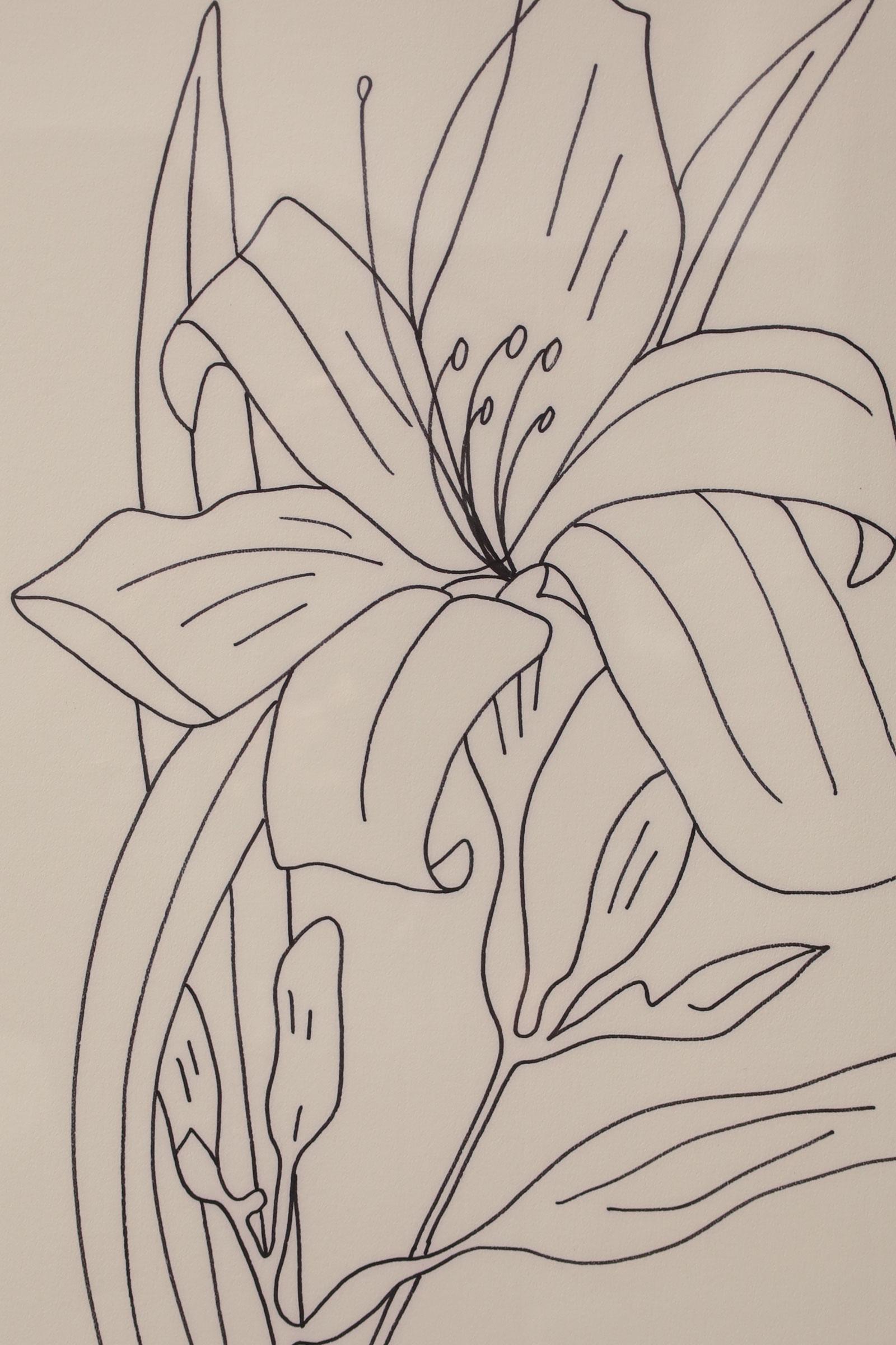 Es handelt sich um wunderschöne botanische Zeichnungen von Betsy Tryon, die meisten aus den Jahren 1978 bis 1979. Wir haben sechs von ihnen in dem abgebildeten schwarzen Rahmen gerahmt. Wir haben bis zu 20 ungerahmte Bilder. Alle sind unterzeichnet.