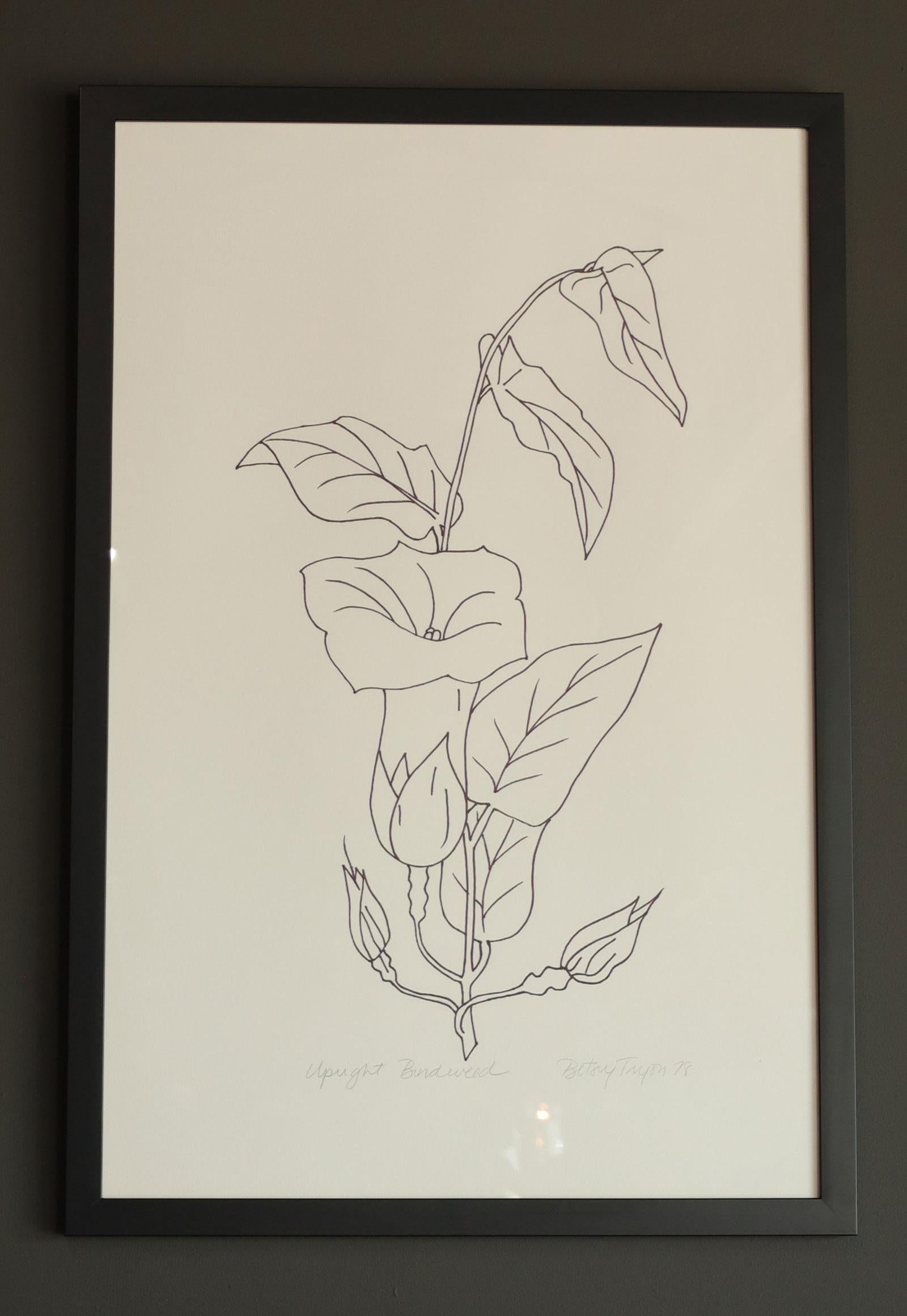 Framed Botanical, Dtd 1978, „Sold Individually“ von Betsy Tryon im Angebot 1