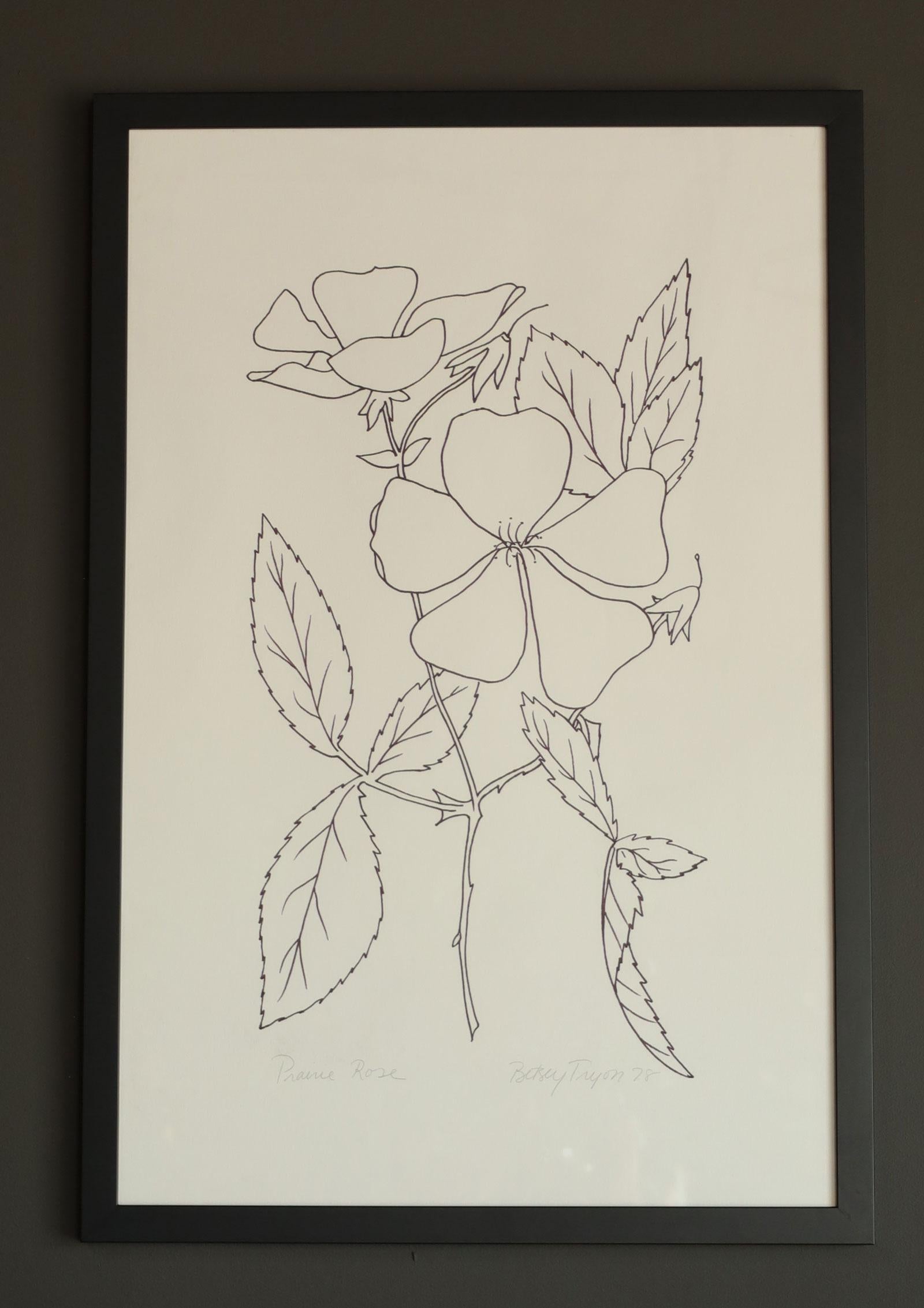 Framed Botanical, Dtd 1978, „Sold Individually“ von Betsy Tryon im Angebot 2