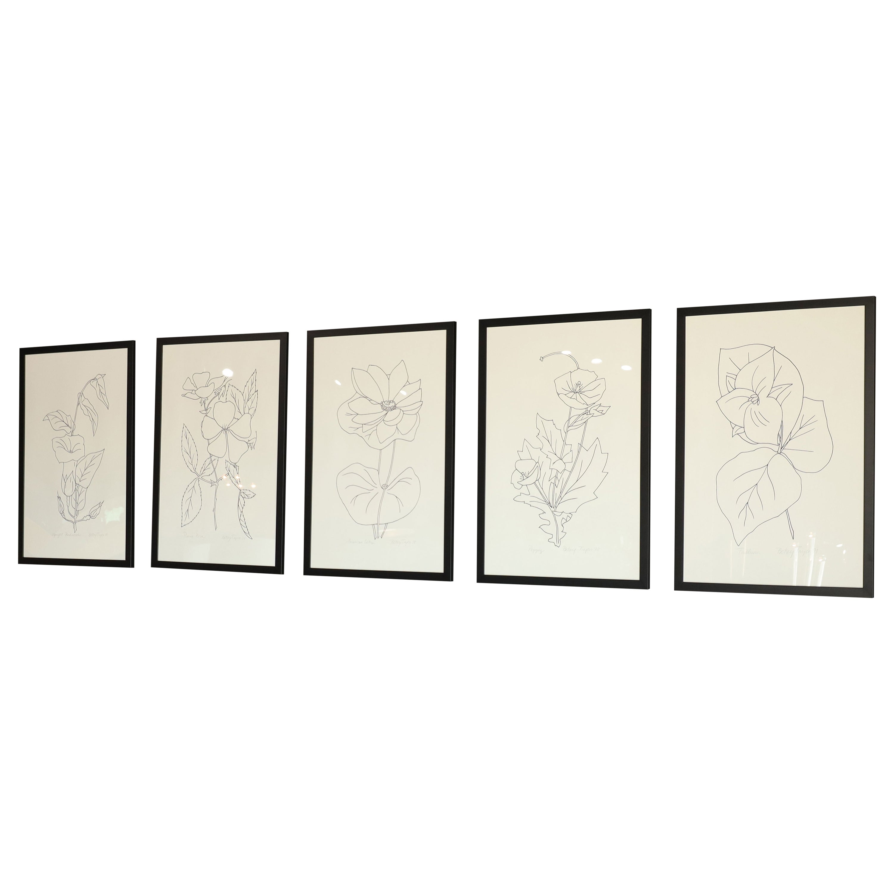 Betsy Tryon - Jardinière encadrée, Dtd 1978, vendue individuellement