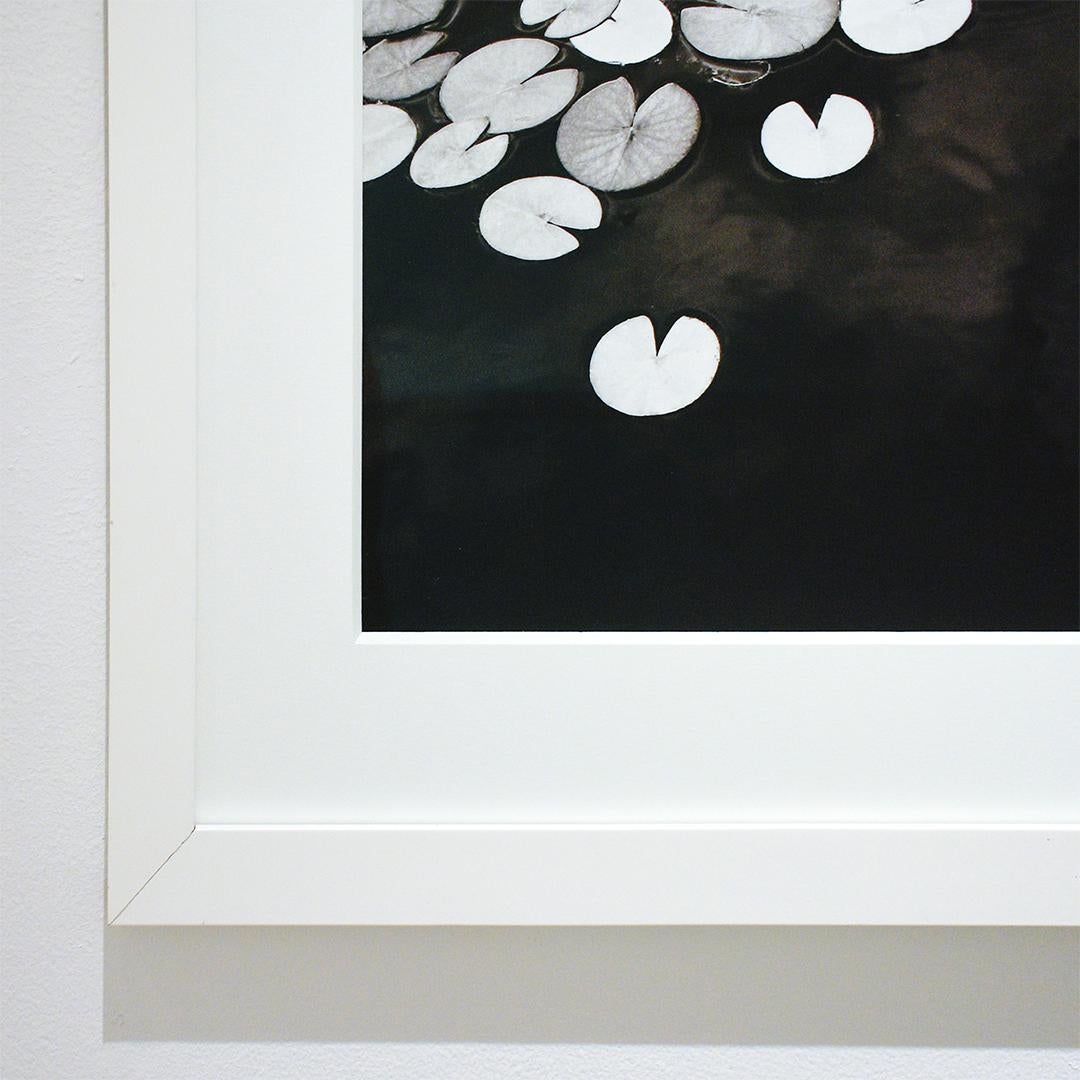 Dusk Lilies: gerahmter schwarzer und weißer Archivpigmentdruck auf Aquarellpapier (Schwarz), Black and White Photograph, von Betsy Weis