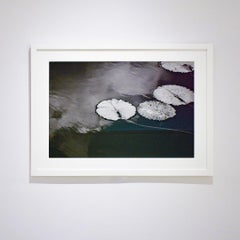 Fin de l'été (Paysage de nature morte réaliste en noir et blanc représentant des nénuphars sur l'eau)