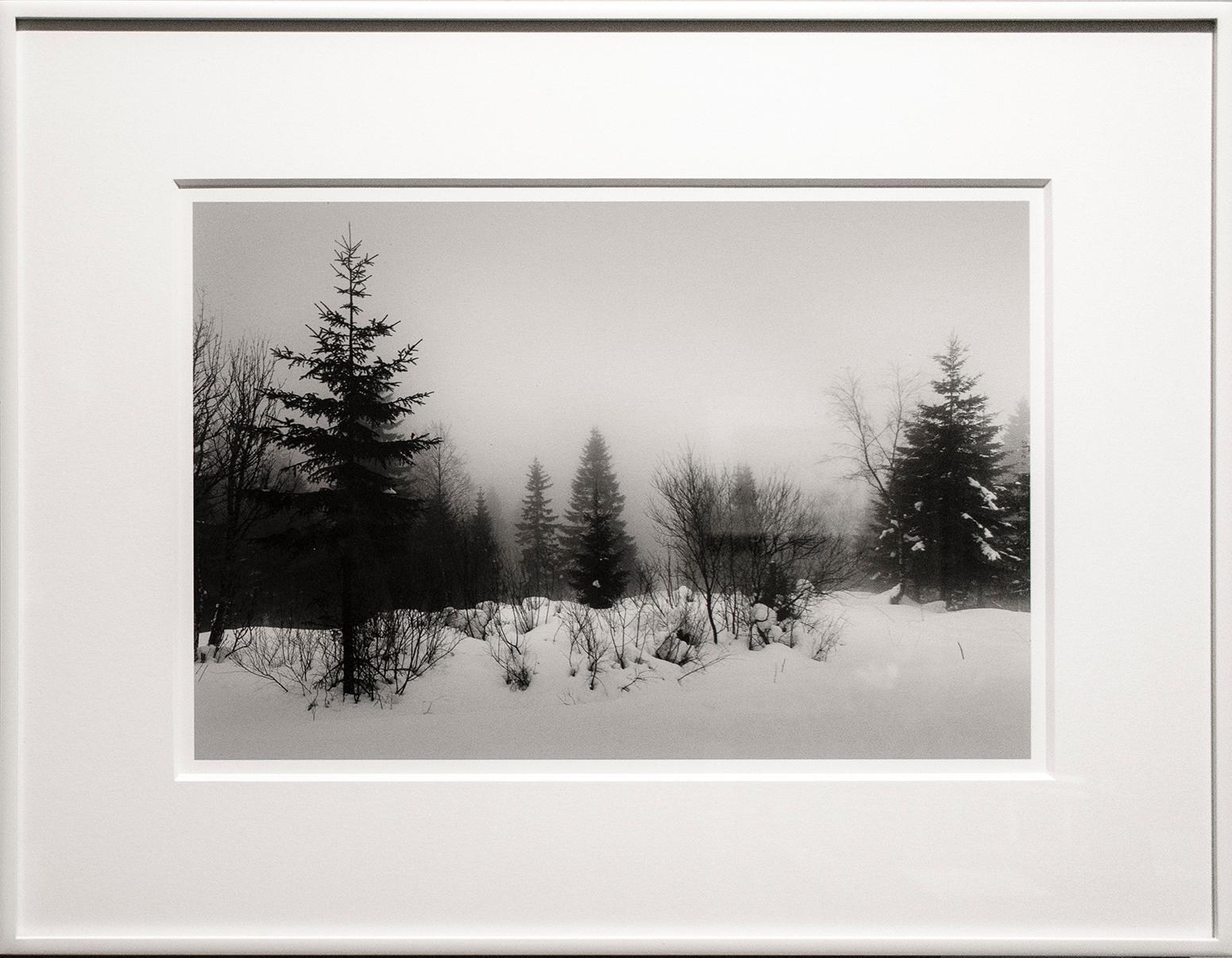 Trees and Mist (Black and White Landscape Photo of Forest in Winter in Finland) - Photograph by Betsy Weis