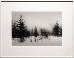 Trees and Mist ( Photo de paysage en noir et blanc de la forêt en hiver en Finlande)
