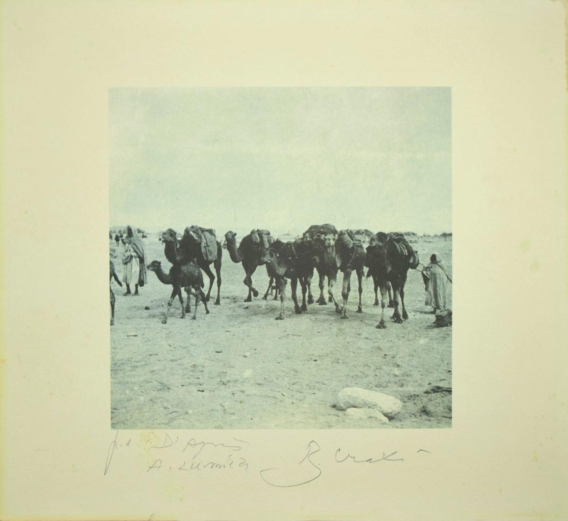 Camels in the Tunisian Desert - Photolithograph by Bettino Craxi - 1995