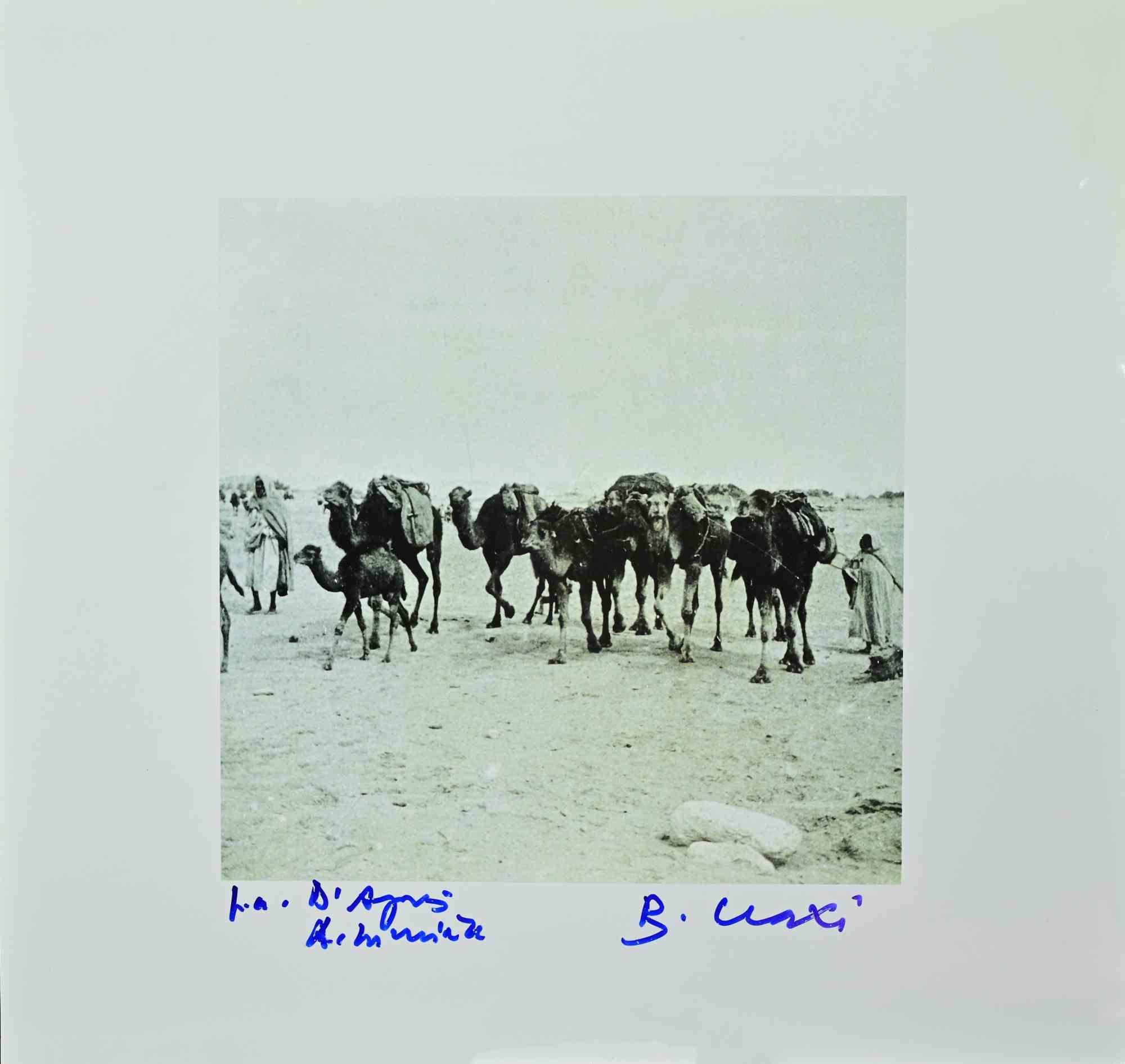 Tunis is a photolithograph realized in 1996 by the Italian politician Bettino Craxi.

Hand-signed in on the lower right.

Good conditions with slight foxing and fold.

In the portfolio " Tunisiaca d'aprés Auguste Lumière ".  This is a collection of