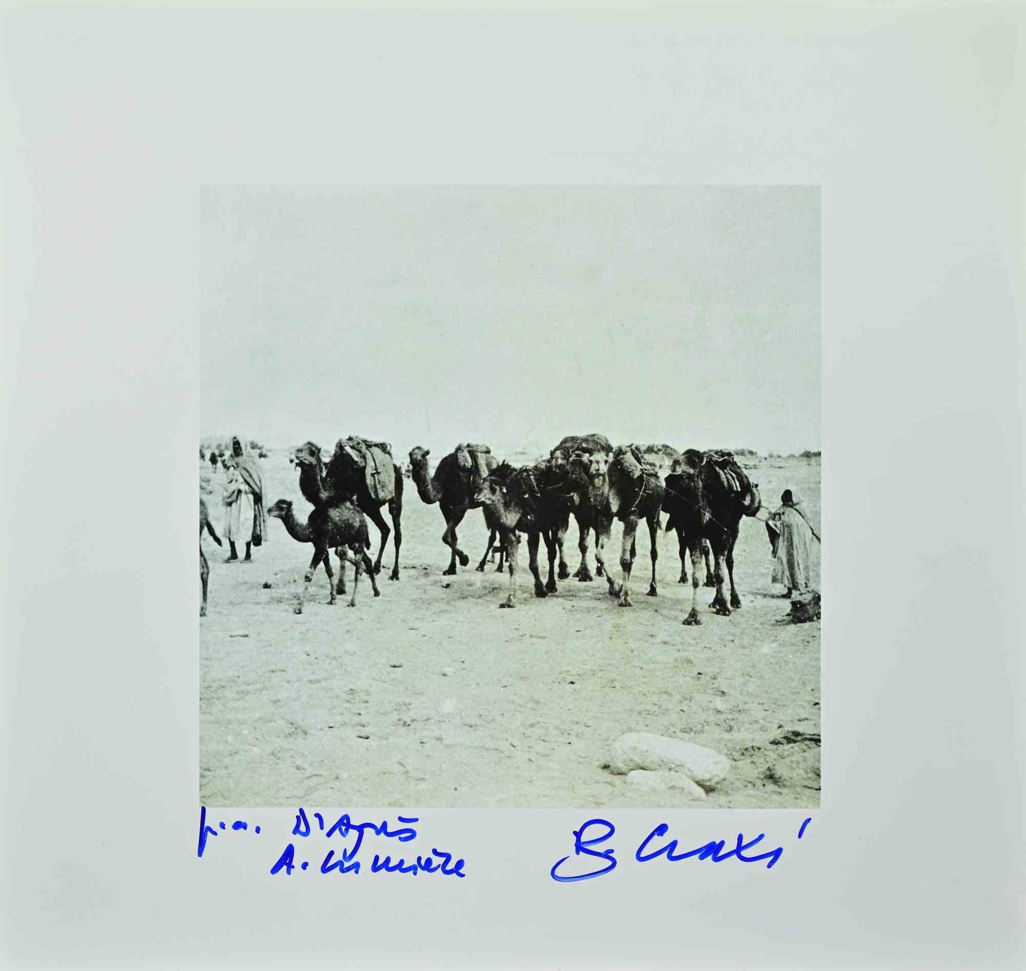 Tunis est une photolithographie réalisée en 1996 par l'homme politique italien Bettino Craxi.

Signé à la main en bas à droite.

Bon état avec de légères rousseurs et des plis.

Dans le portfolio " Tunisiaca d'aprés Auguste Lumière ".  Il s'agit