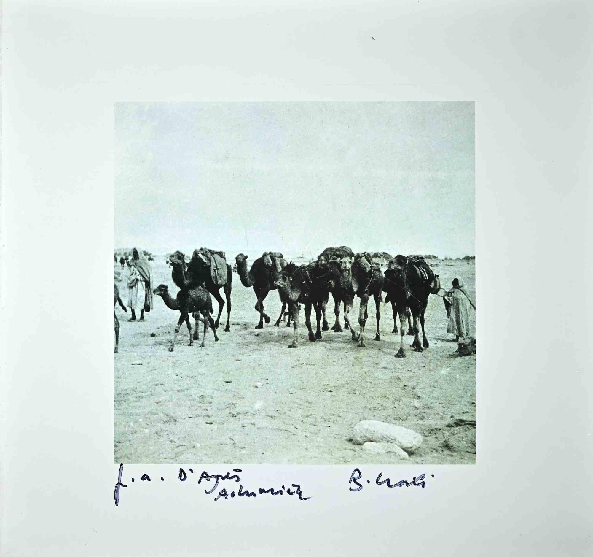 Tunisian Camels is an original photolithograph realized in the 1990s by the Italian politician Bettino Craxi after A. Lumière.

Hand-signed.

Artist's proof.

Very good conditions.