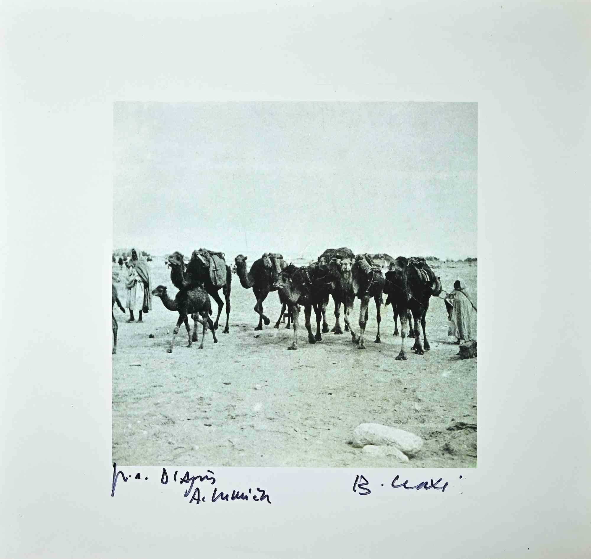 Tunisian Camels is an original photolithograph realized in the 1990s by the Italian politician Bettino Craxi after A. Lumière.

Hand-signed.

Artist's proof.

Very good conditions.