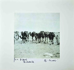 Tunisian Camels - Original Photolithograph by Bettino Craxi - 1990s