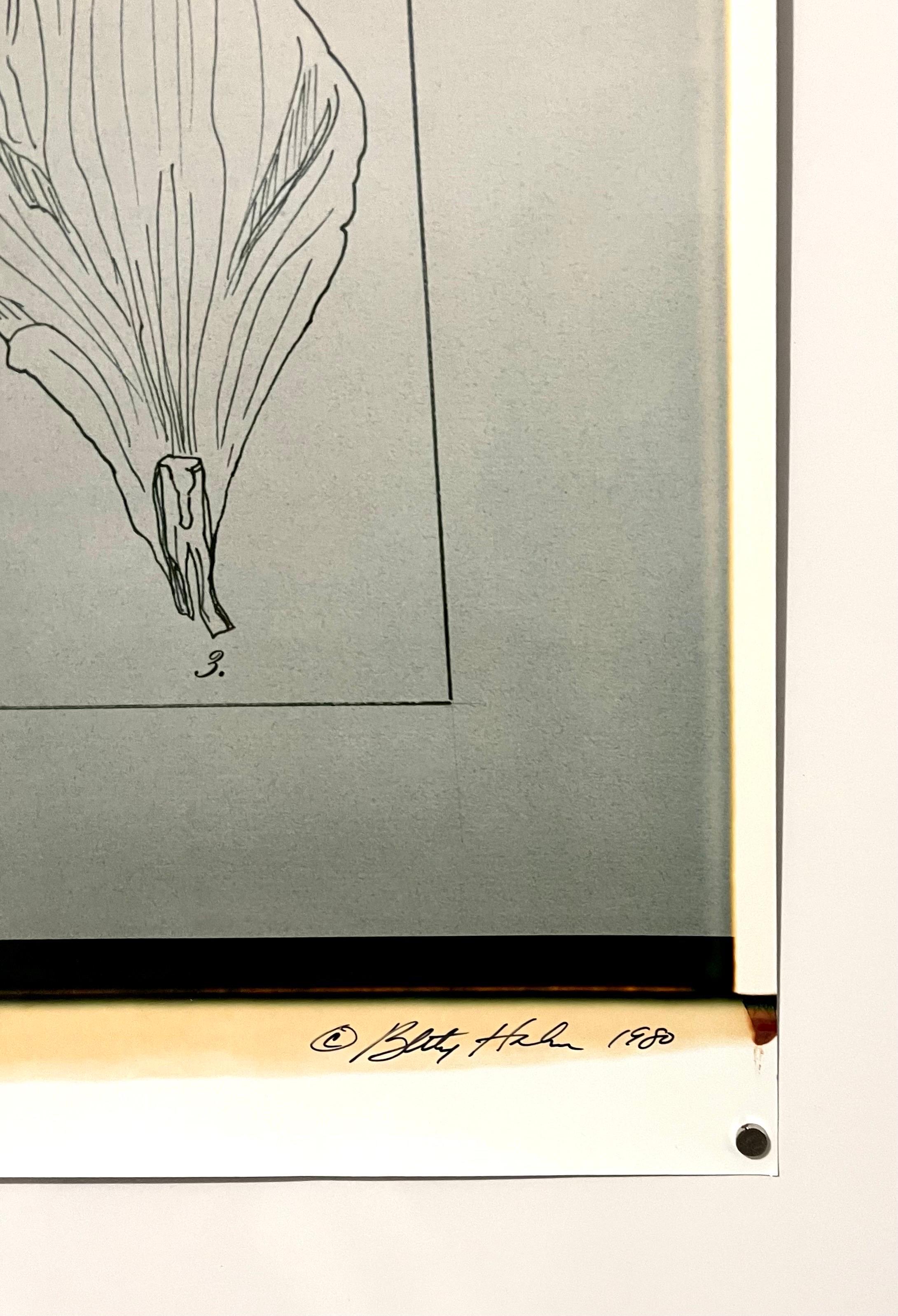 Large Format Polaroid Photograph Still Life Color Photo Dye Print Betty Hahn Art For Sale 4