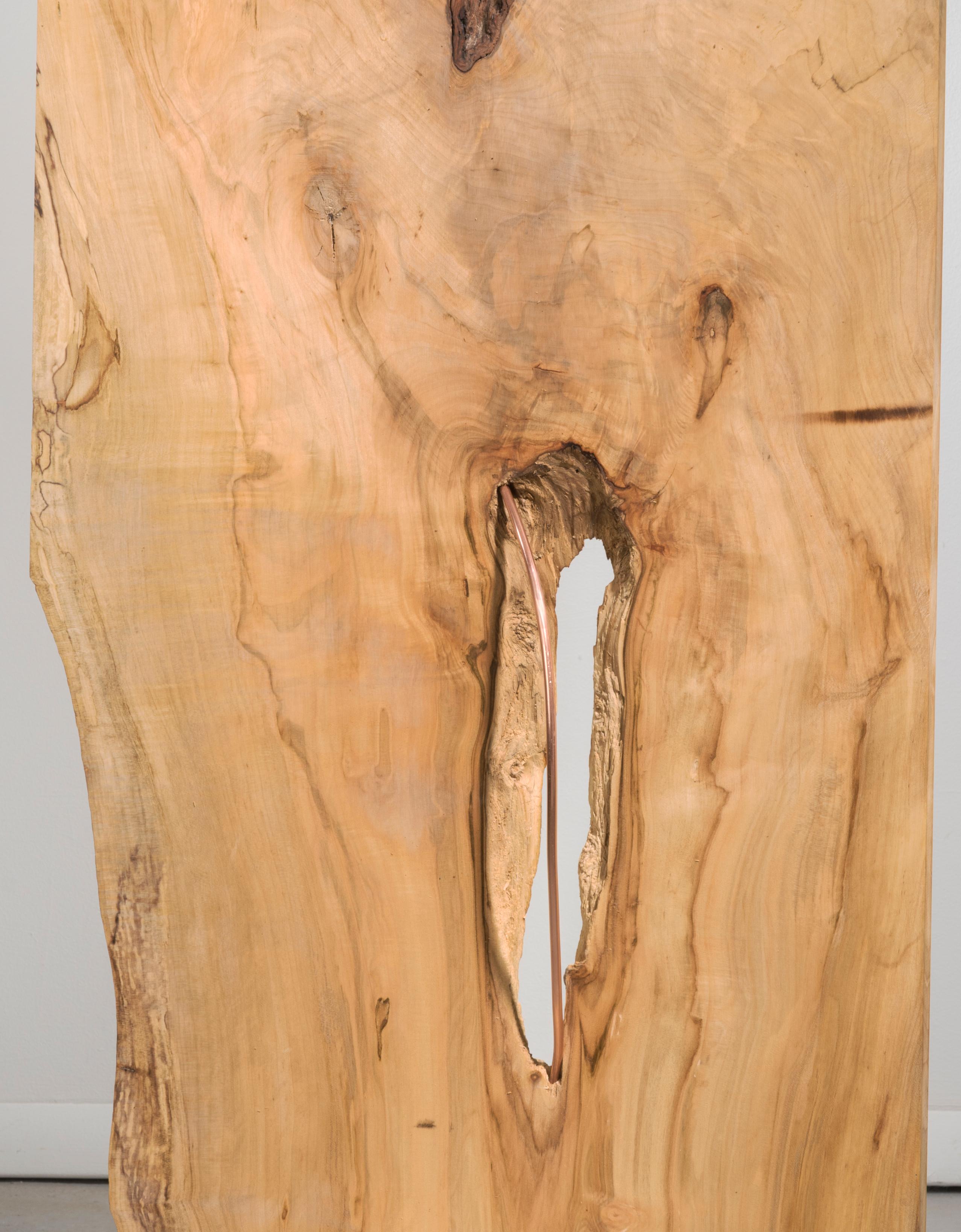 Minimal wood sculpture: 'Satire' - Brown Abstract Sculpture by Betty McGeehan
