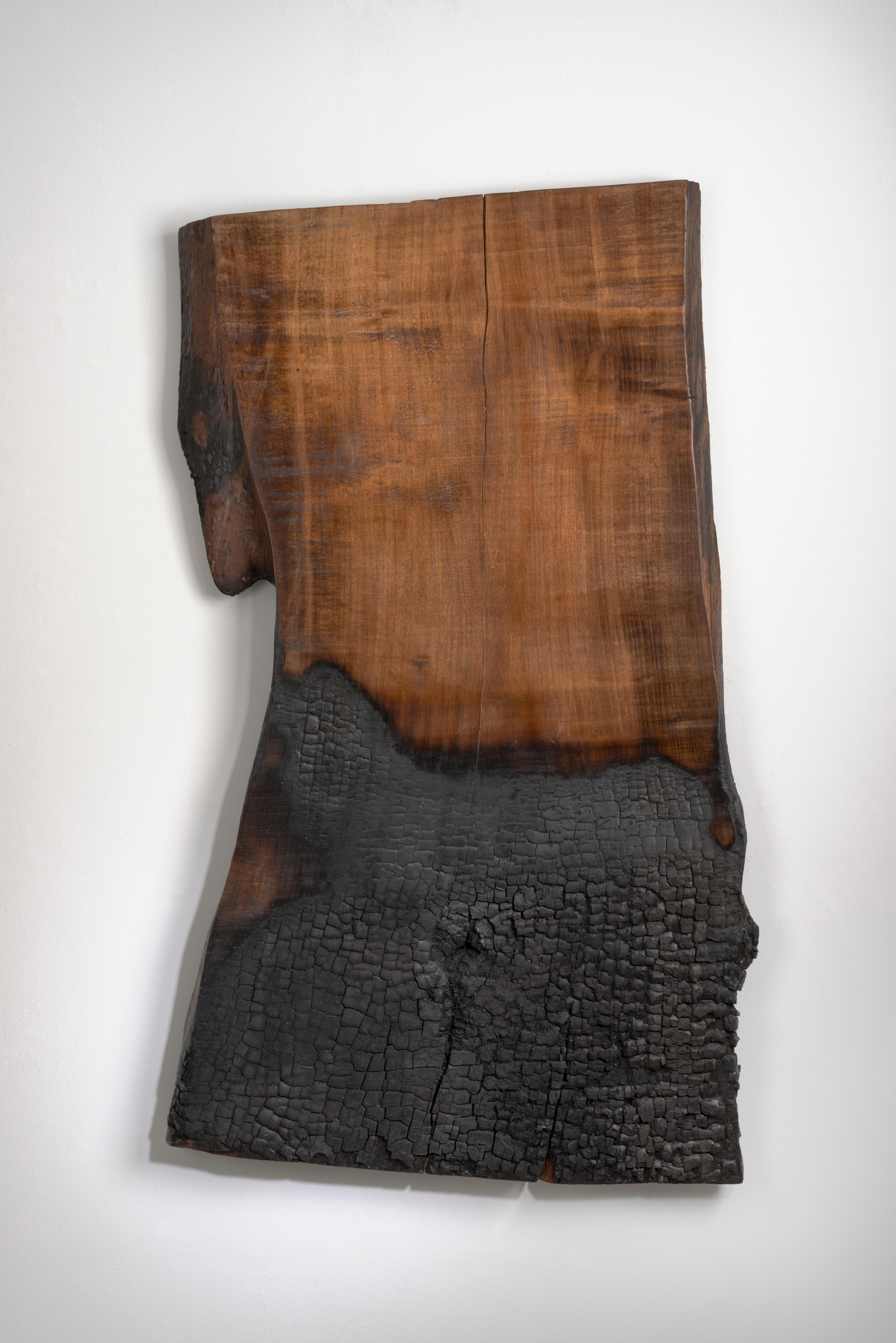 burnt wood sculpture