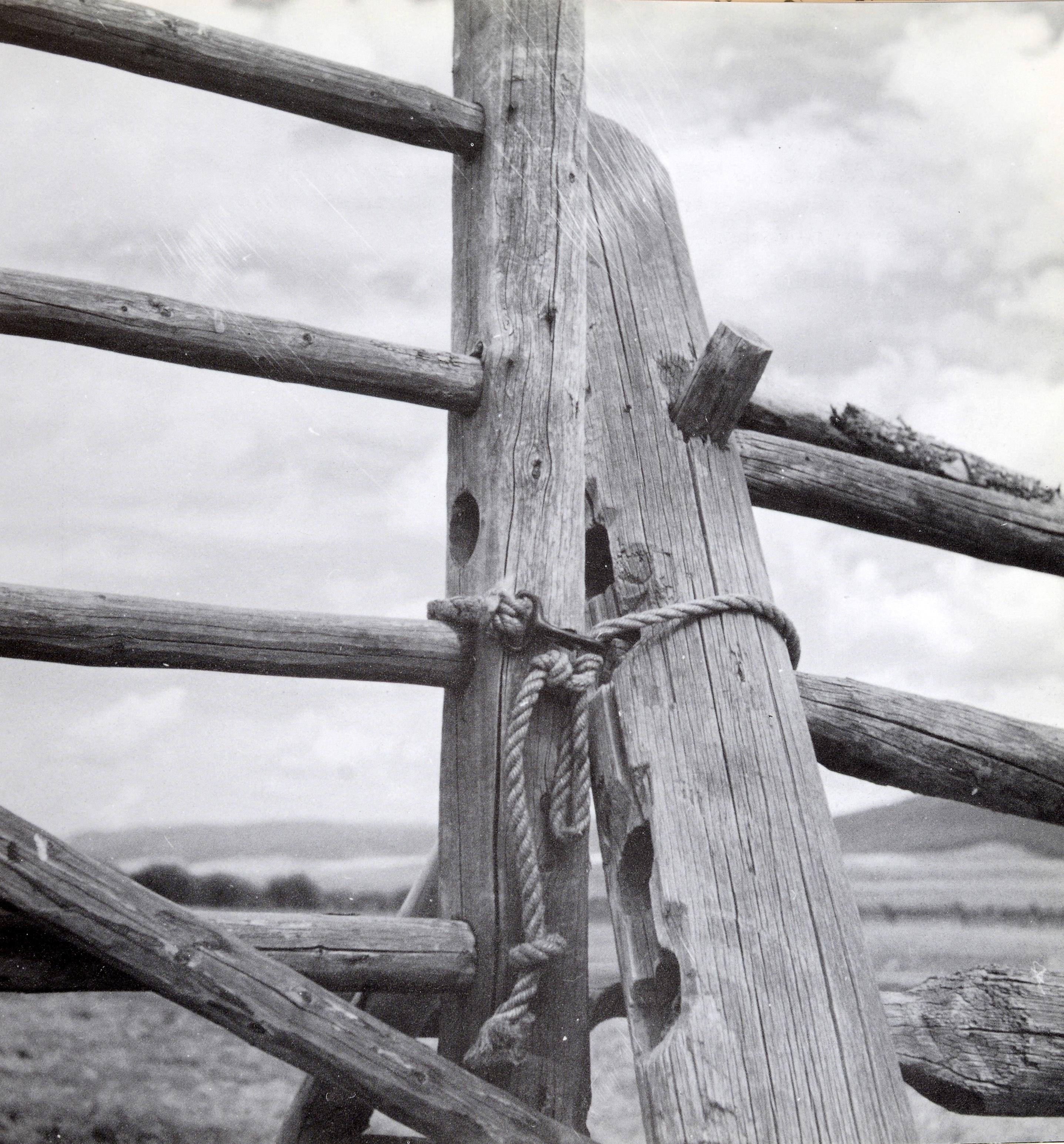 Between Fences by Gregory K. Dreicer, States 1st Ed For Sale 6