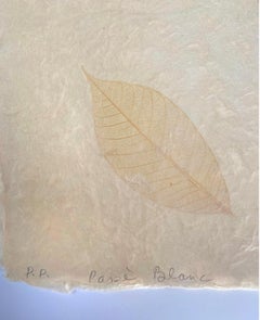 Passe Blanc - African American Female Artist