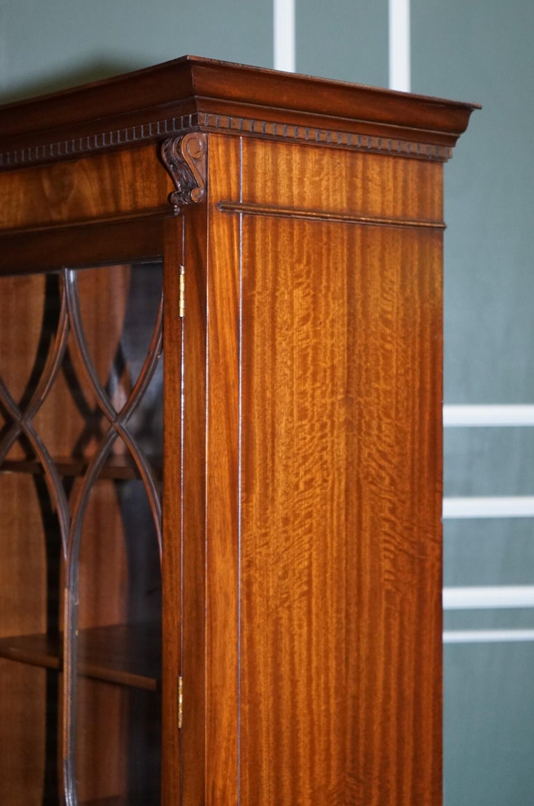 Bevan Funnell Curved Astral Glazed Bookcase Display For Sale at 1stDibs