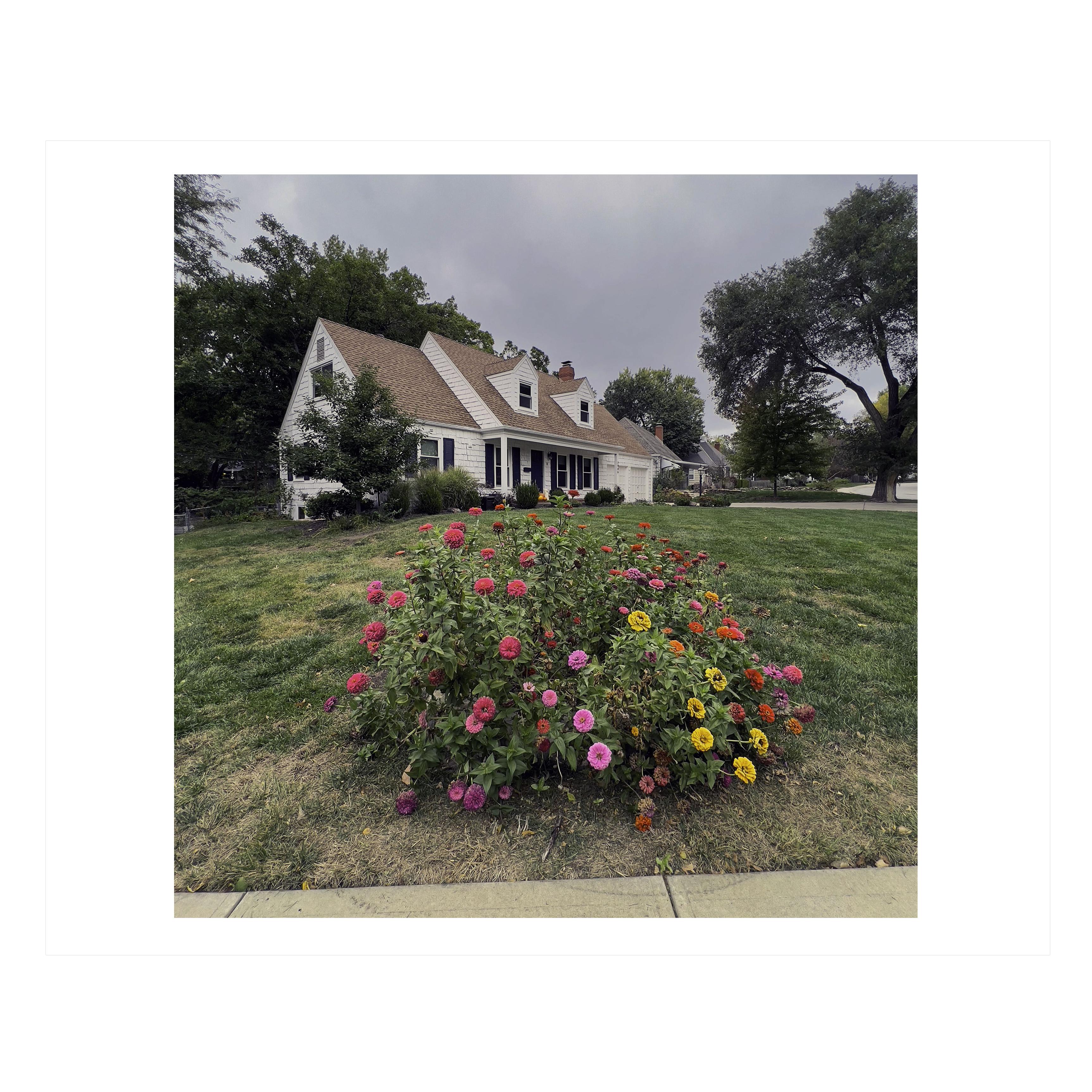 Late Fall Zinnias - Photograph by Beverly Ahern