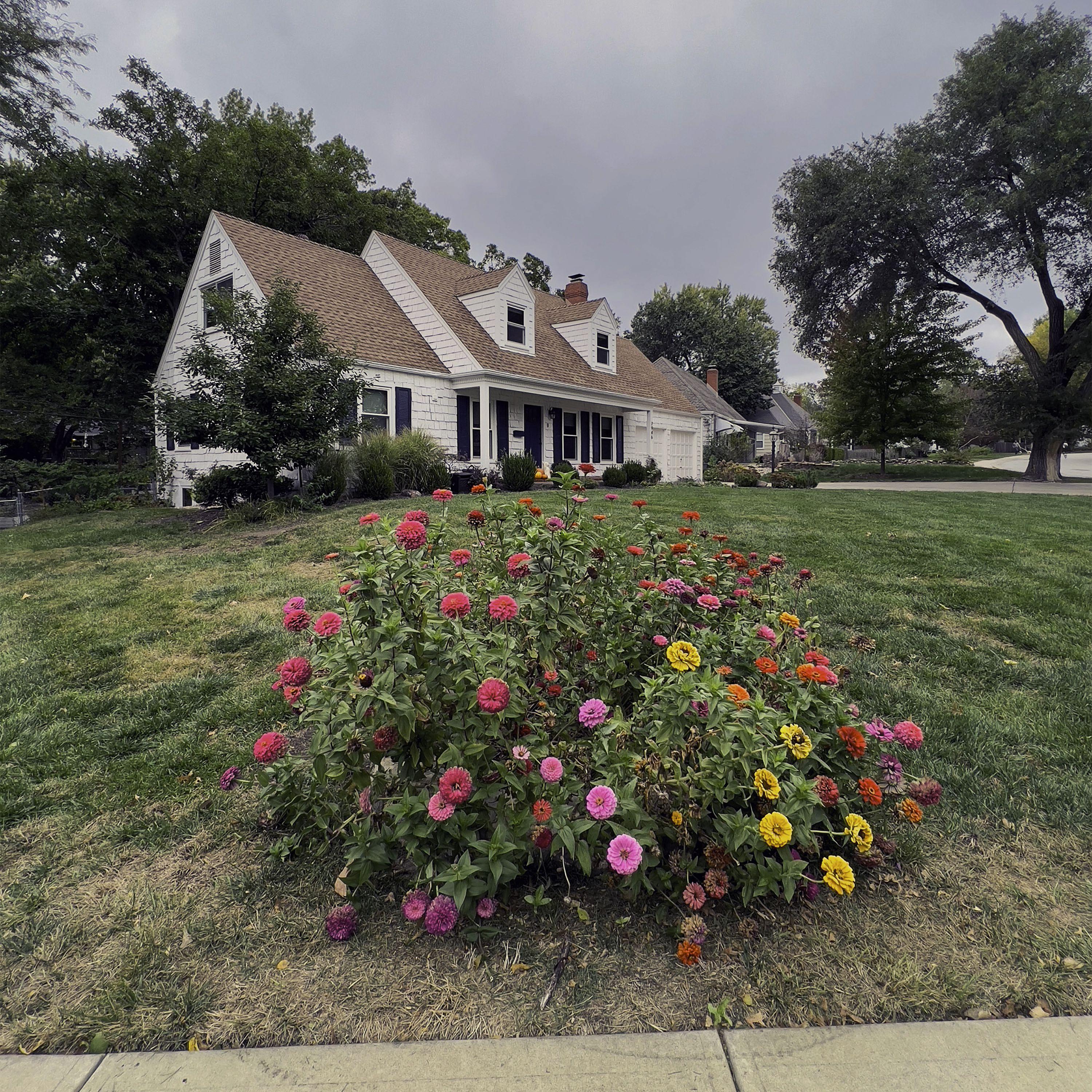 Beverly Ahern Landscape Photograph - Late Fall Zinnias