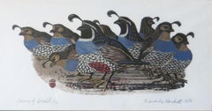Covey of Quail
