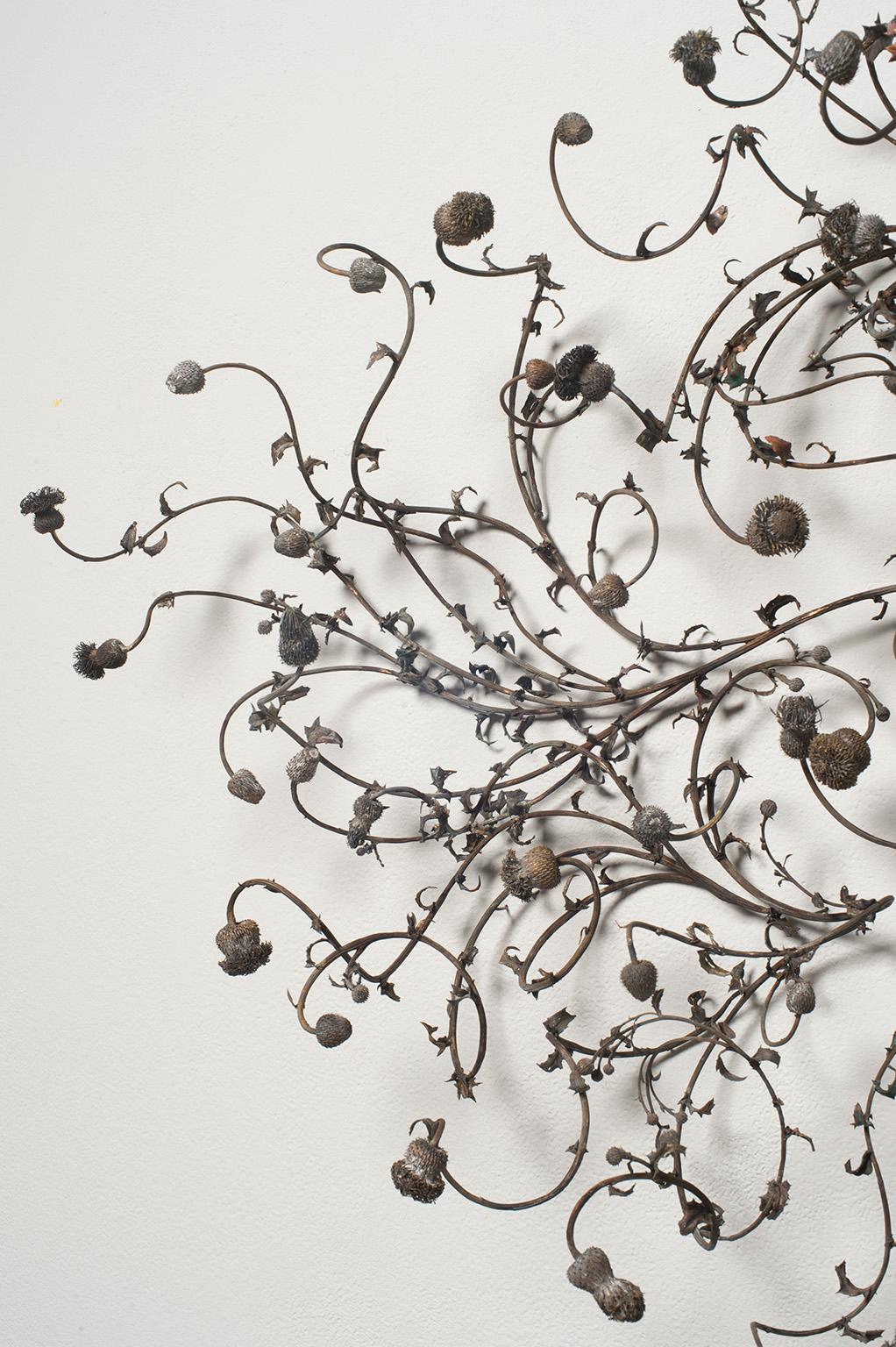 Radices Systemata - Contemporary Sculpture by Beverly Penn