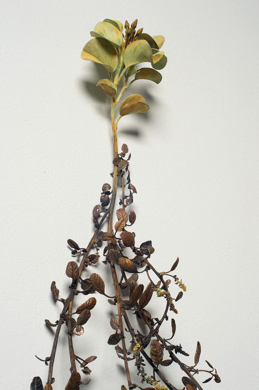 Regna Tria Naturae (Zeitgenössisch), Sculpture, von Beverly Penn