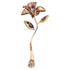 Bewitching Hour Leopard Flower
