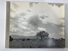 Beyond the Horizon Semester at Sea Around-the-world Voyage Dreams Fulfilled Book