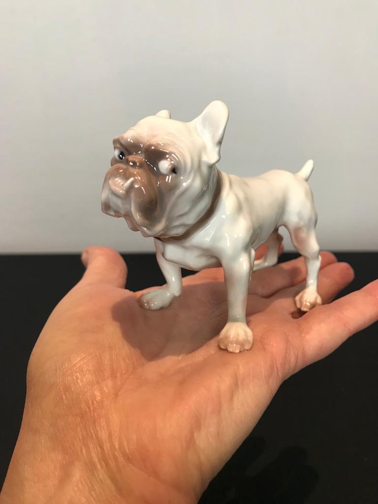 Bulldog sculpture by B&G - Bing & Grondahl - Denmark.
This characterful muscular English Bulldog was designed by Dahl Jensen ( 1874 - 1960 )

High quality and detailled porcelain bulldog sculpture 
with the typical tooth over his lip and the