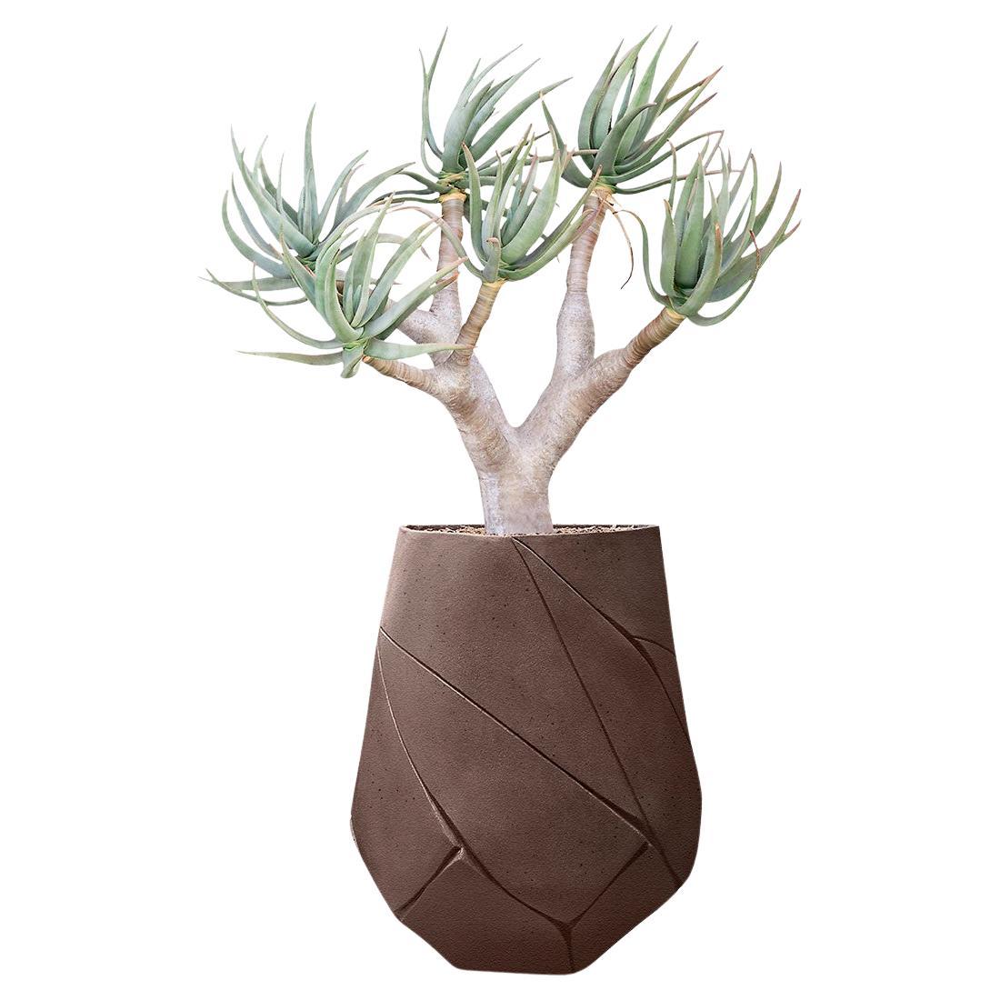 Jardinera Marrón Mediana Bhaca by Indigenus