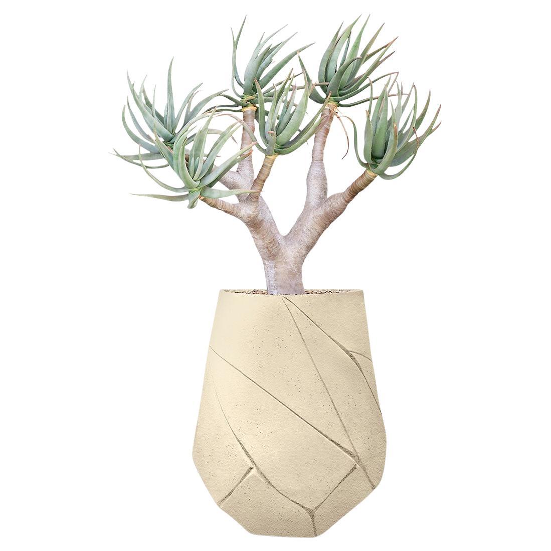 Bhaca Medium Sandstone Planter by Indigenus en vente