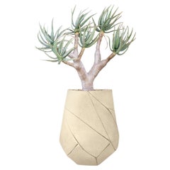 Bhaca Medium Sandstone Planter by Indigenus