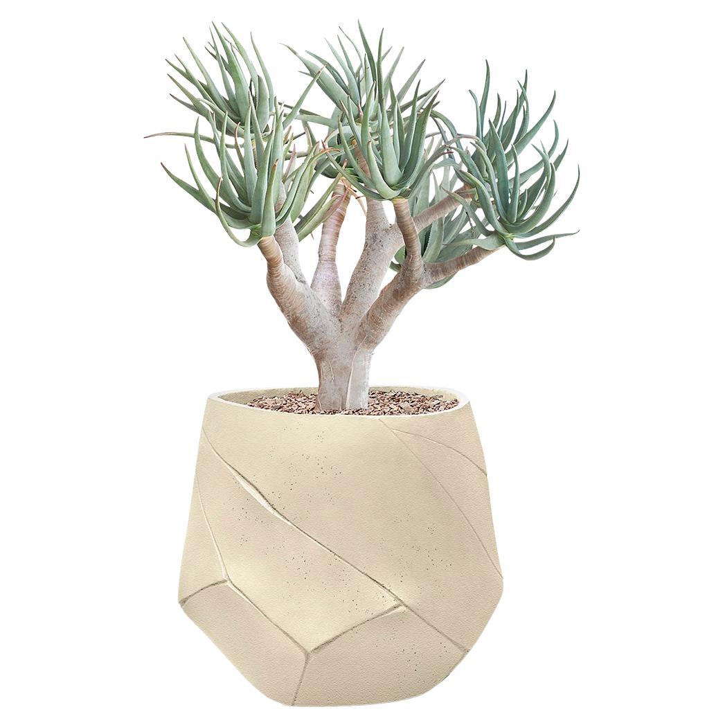 Petite jardinière Bhaca par Indigenus