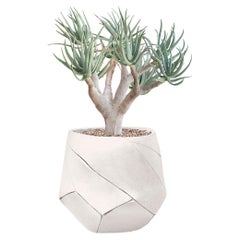 Fioriera Bhaca Small White di Indigenus