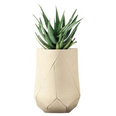 Bhaca Tall Sandstone Planter by Indigenus